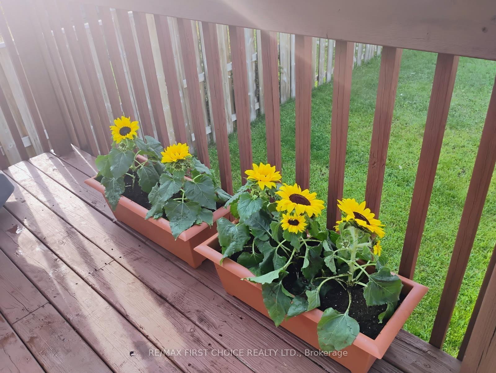 Photo 20 of 735 Porcupine Boulevard, Thunder Bay, Parkdale — HOMEH