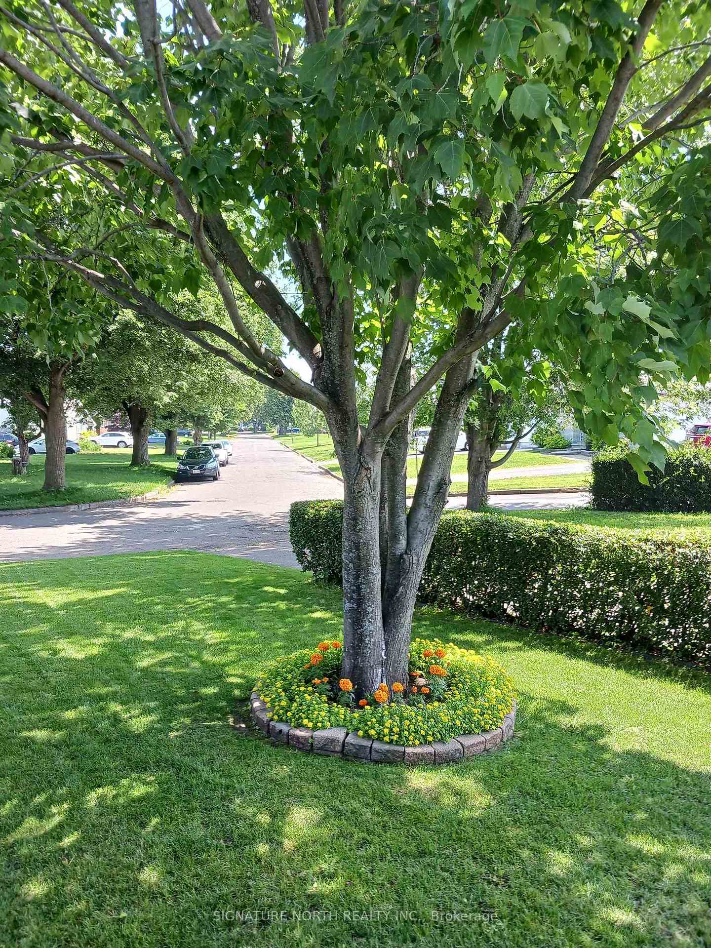 Photo 16 of 467 Sycamore Place, Thunder Bay, Northwood Park — HOMEH