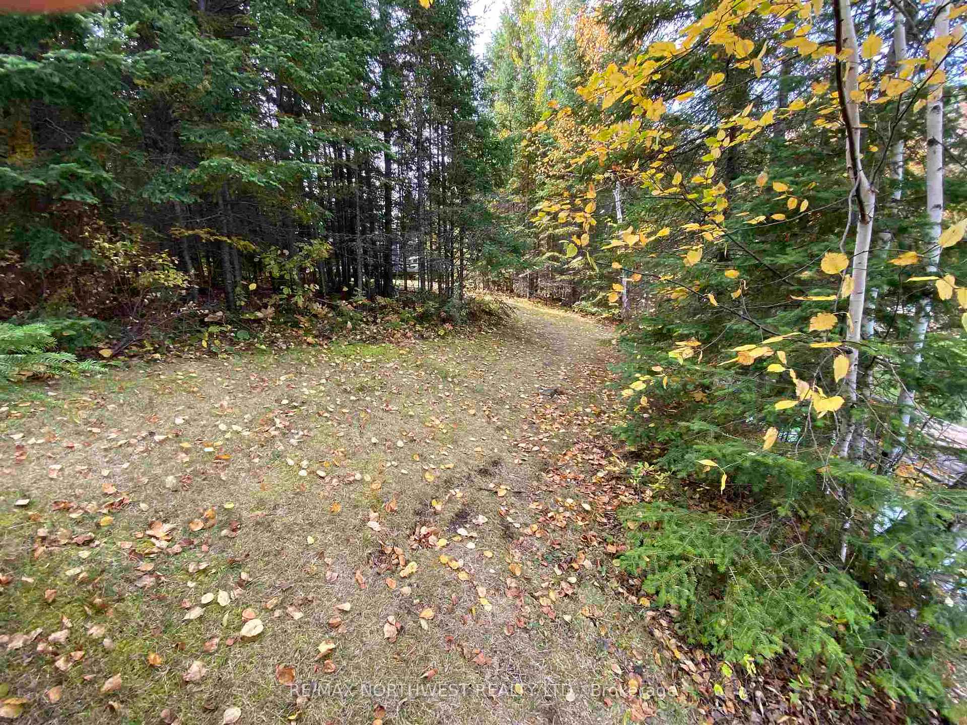 Photo 26 of LOT 16 Brule Point, Kenora Remote Area, Lake of the Woods North — HOMEH