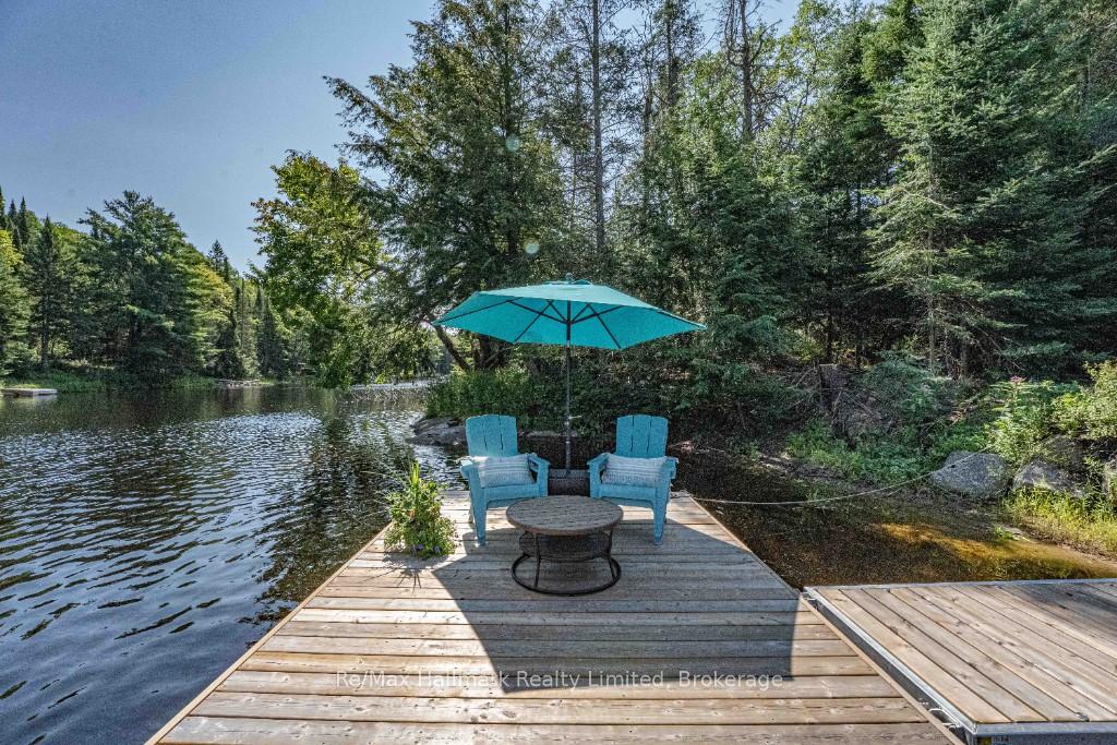 Photo 8 of 199 Bonnell Road, Bracebridge, Macaulay — HOMEH