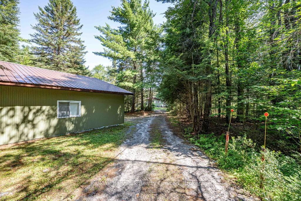 Photo 38 of 199 Bonnell Road, Bracebridge, Macaulay — HOMEH