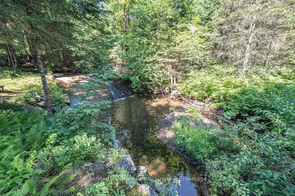 Photo 42 of 199 Bonnell Road, Bracebridge, Macaulay — HOMEH