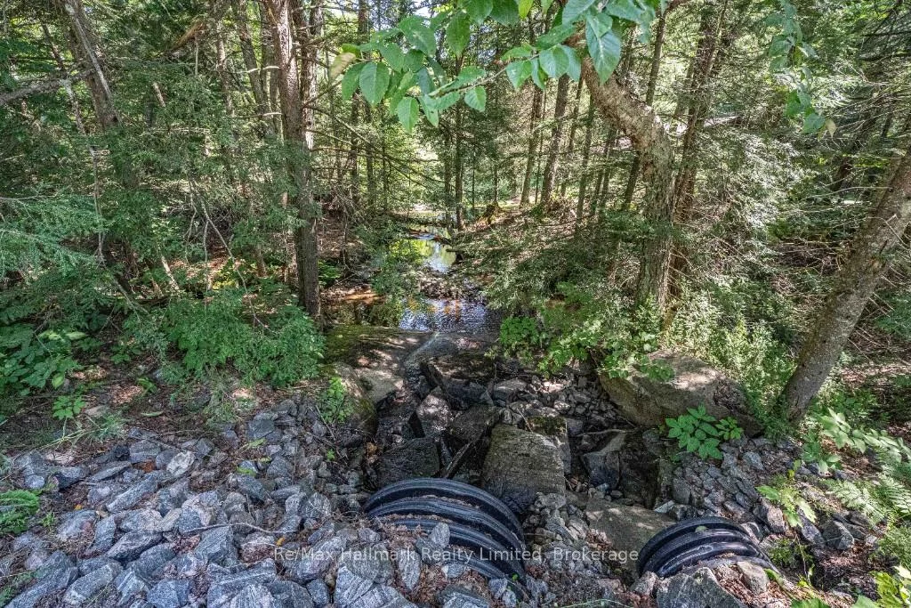 Photo 26 of 199 Bonnell Road, Bracebridge, Macaulay — HOMEH