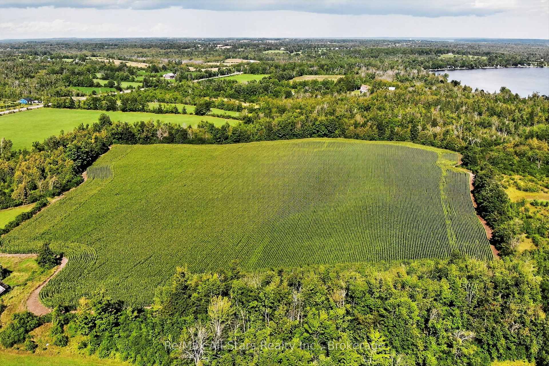 Photo 8 of 37 Kelly's Bay Road, Kawartha Lakes, Verulam — HOMEH