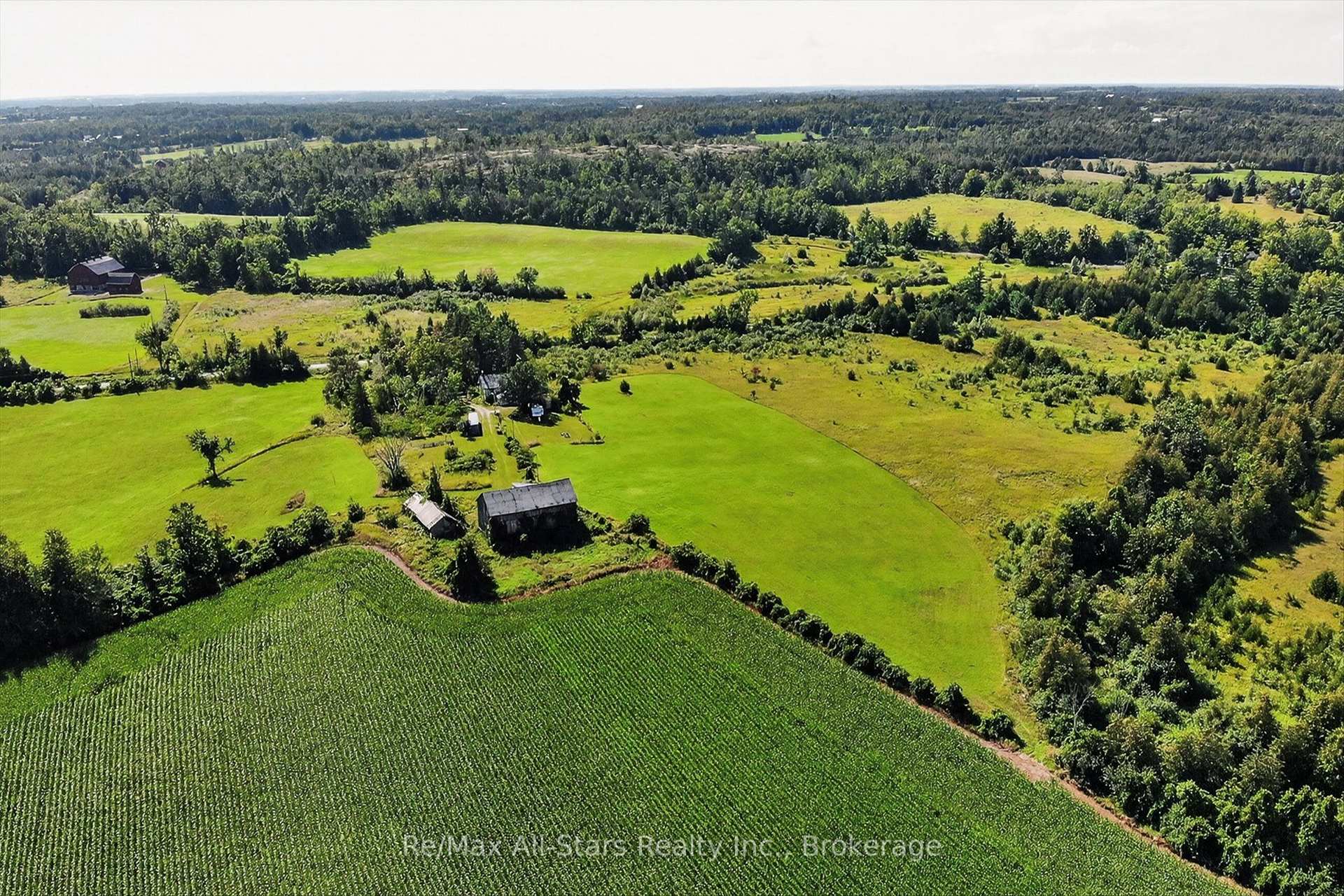 Photo 12 of 37 Kelly's Bay Road, Kawartha Lakes, Verulam — HOMEH