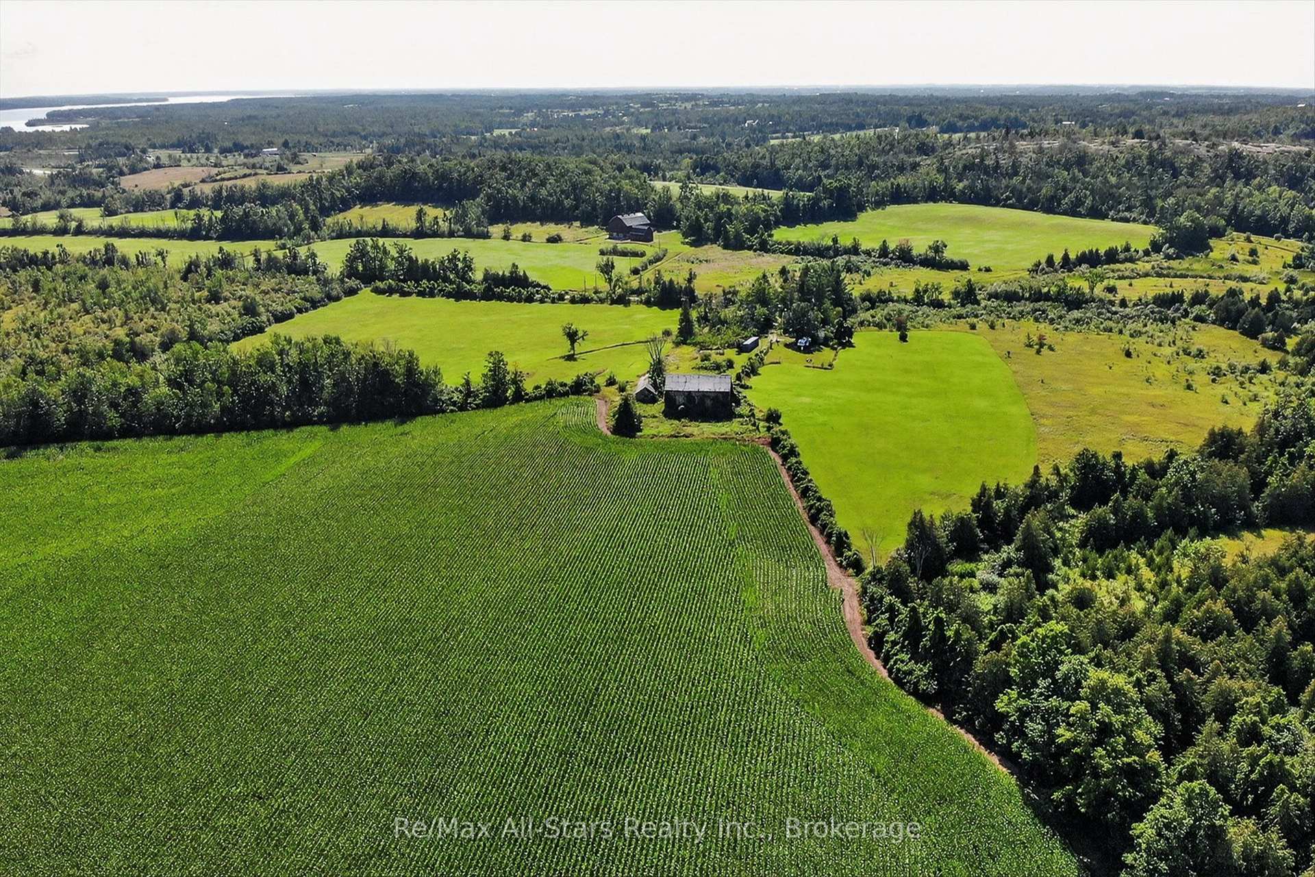 Photo 13 of 37 Kelly's Bay Road, Kawartha Lakes, Verulam — HOMEH