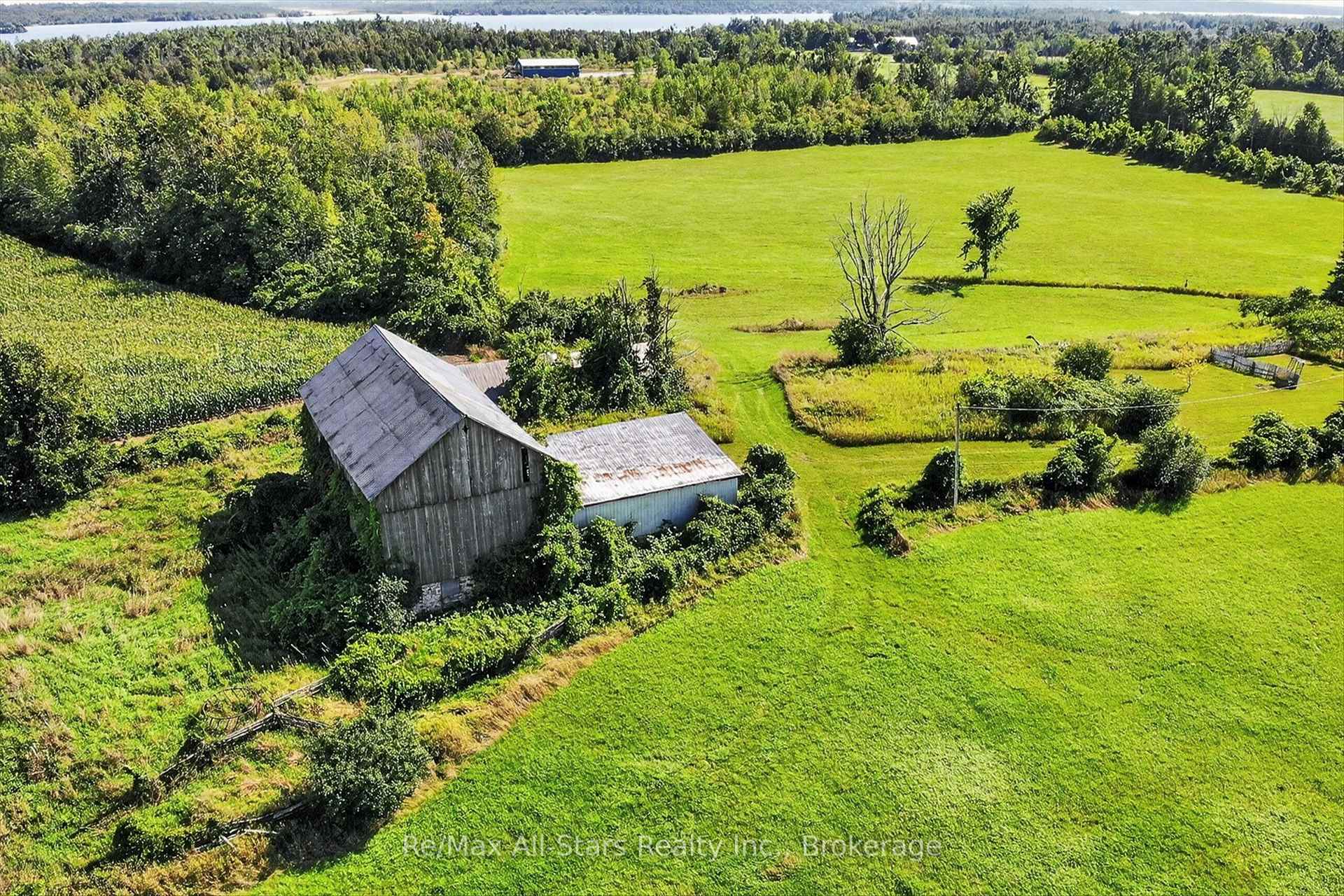 Photo 16 of 37 Kelly's Bay Road, Kawartha Lakes, Verulam — HOMEH