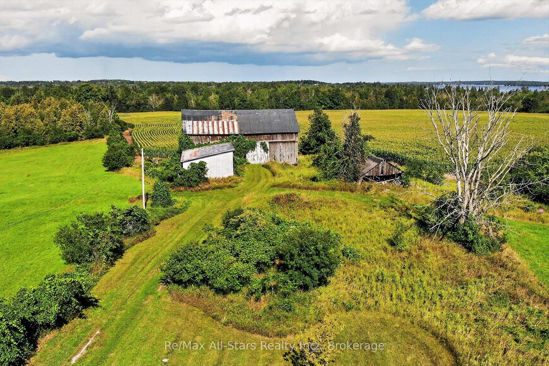 Photo 24 of 37 Kelly's Bay Road, Kawartha Lakes, Verulam — HOMEH