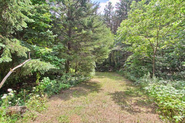 Photo 95 of 3433 Mount Albert Road, East Gwillimbury, Sharon — HOMEH
