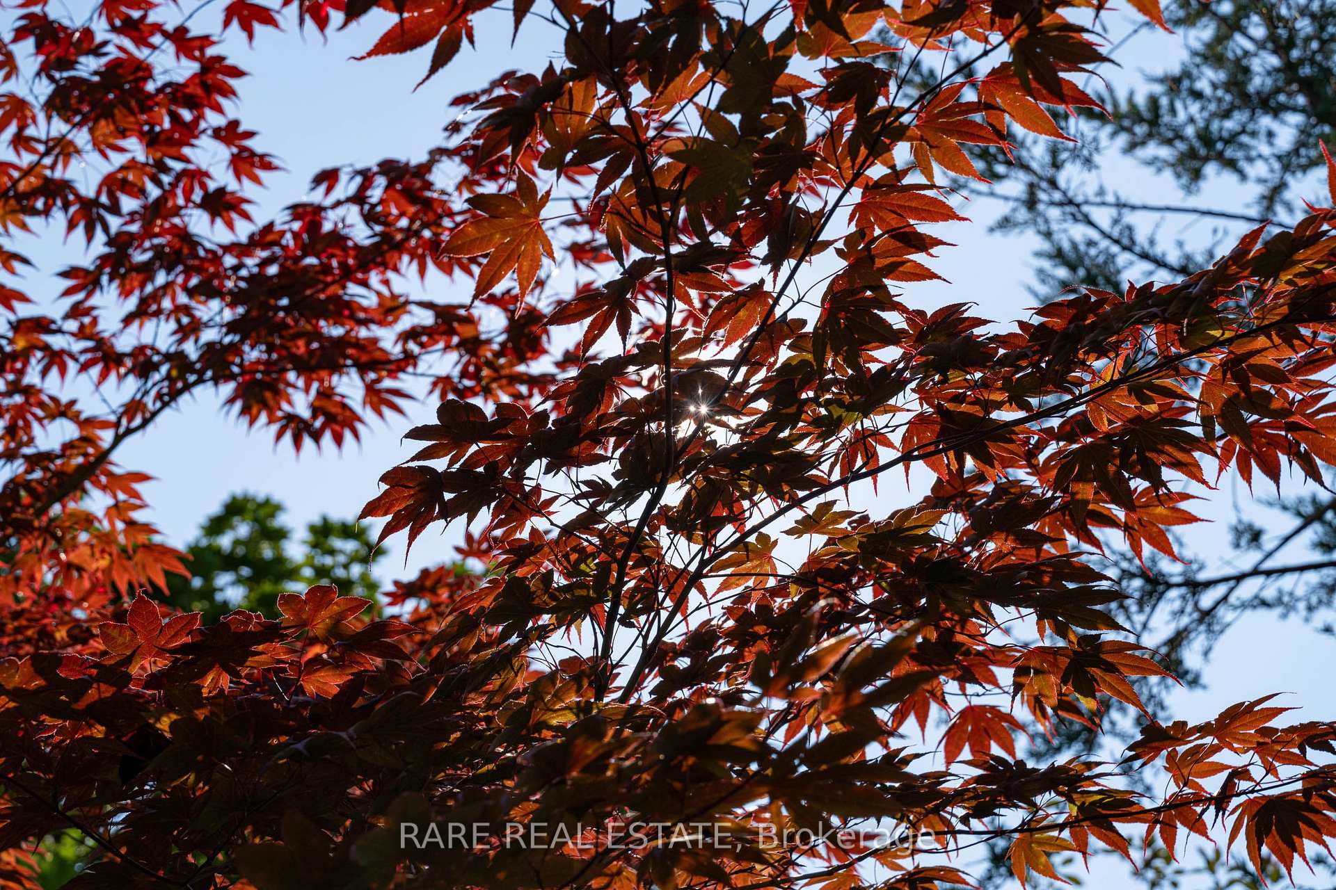 Photo 24 of 44 Regina Boulevard, Wasaga Beach — HOMEH