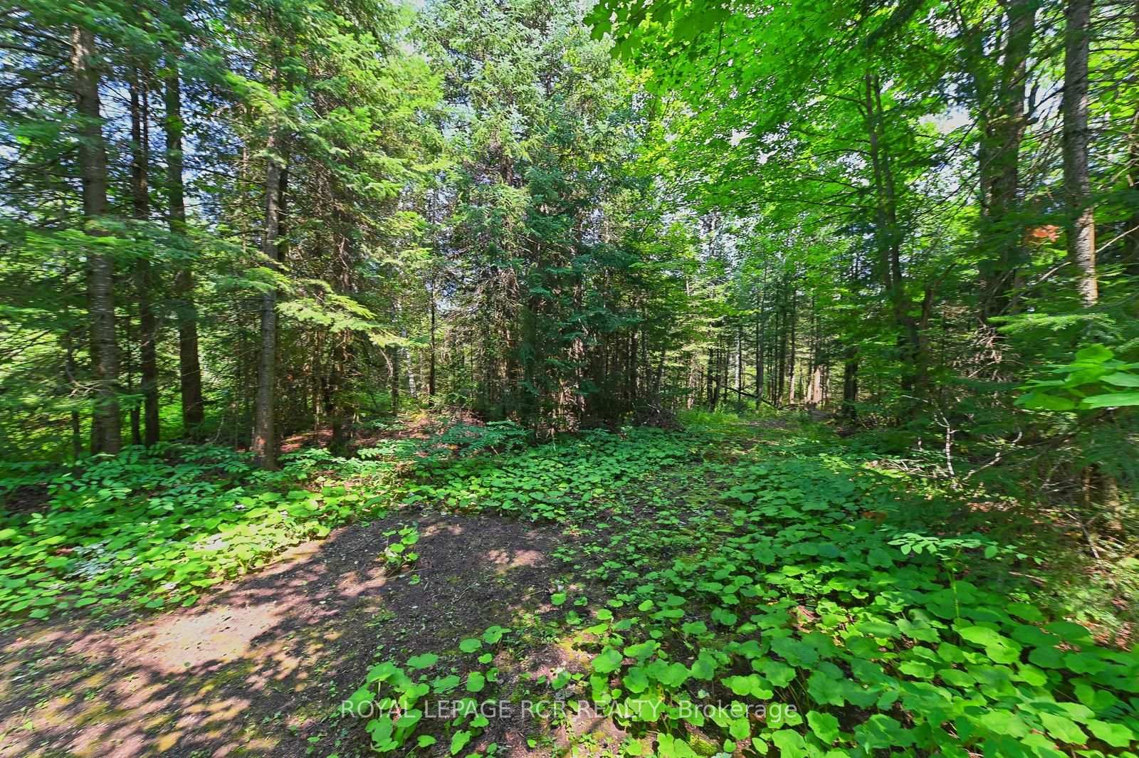 Photo 38 of 349805 4th Concession B, Grey Highlands — HOMEH
