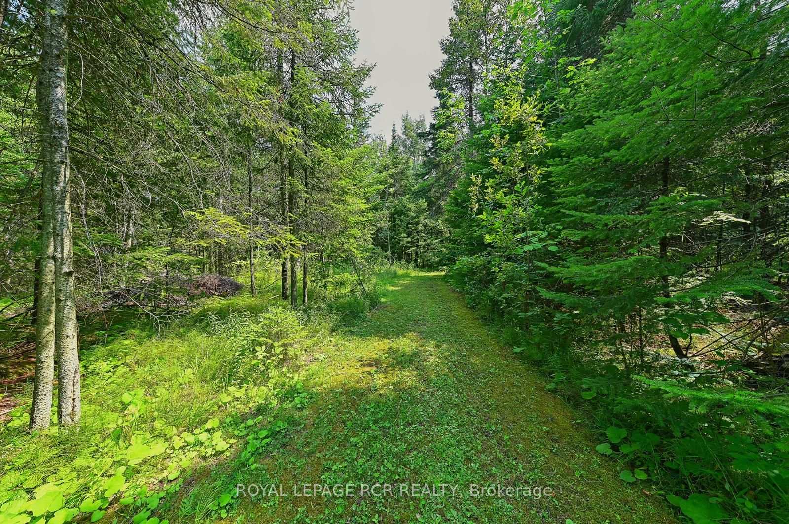 Photo 39 of 349805 4th Concession B, Grey Highlands — HOMEH