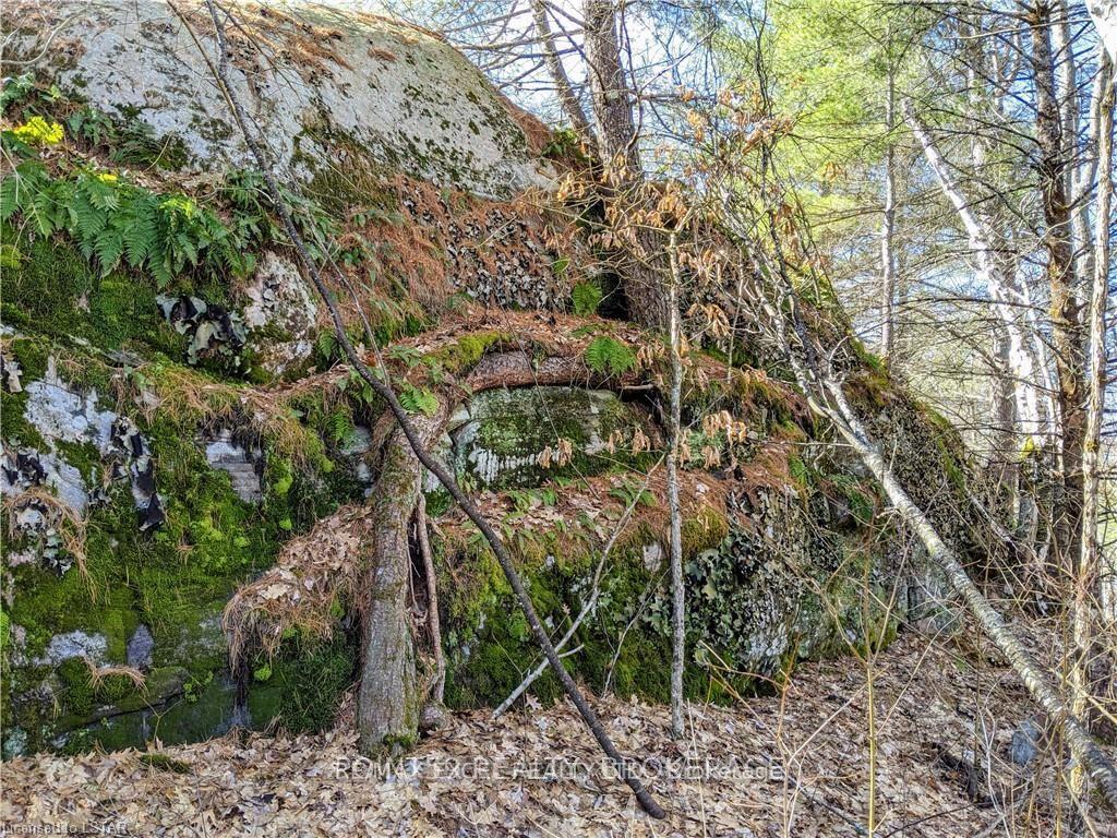 Photo 7 of 1322 Boomhauer Road, Frontenac, Frontenac Centre — HOMEH