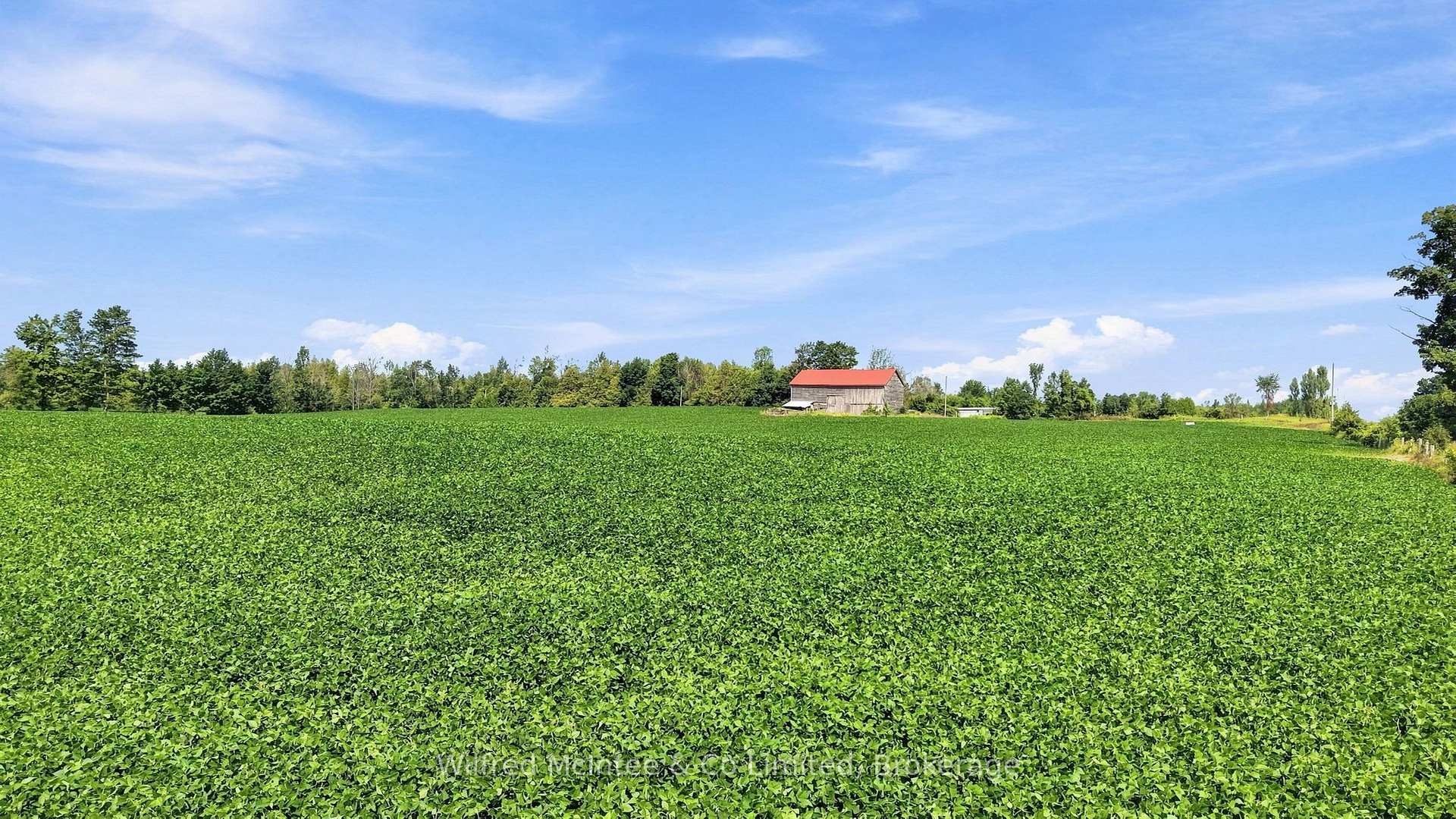 Photo 4 of 381612 Con 4 Ndr Road, West Grey — HOMEH