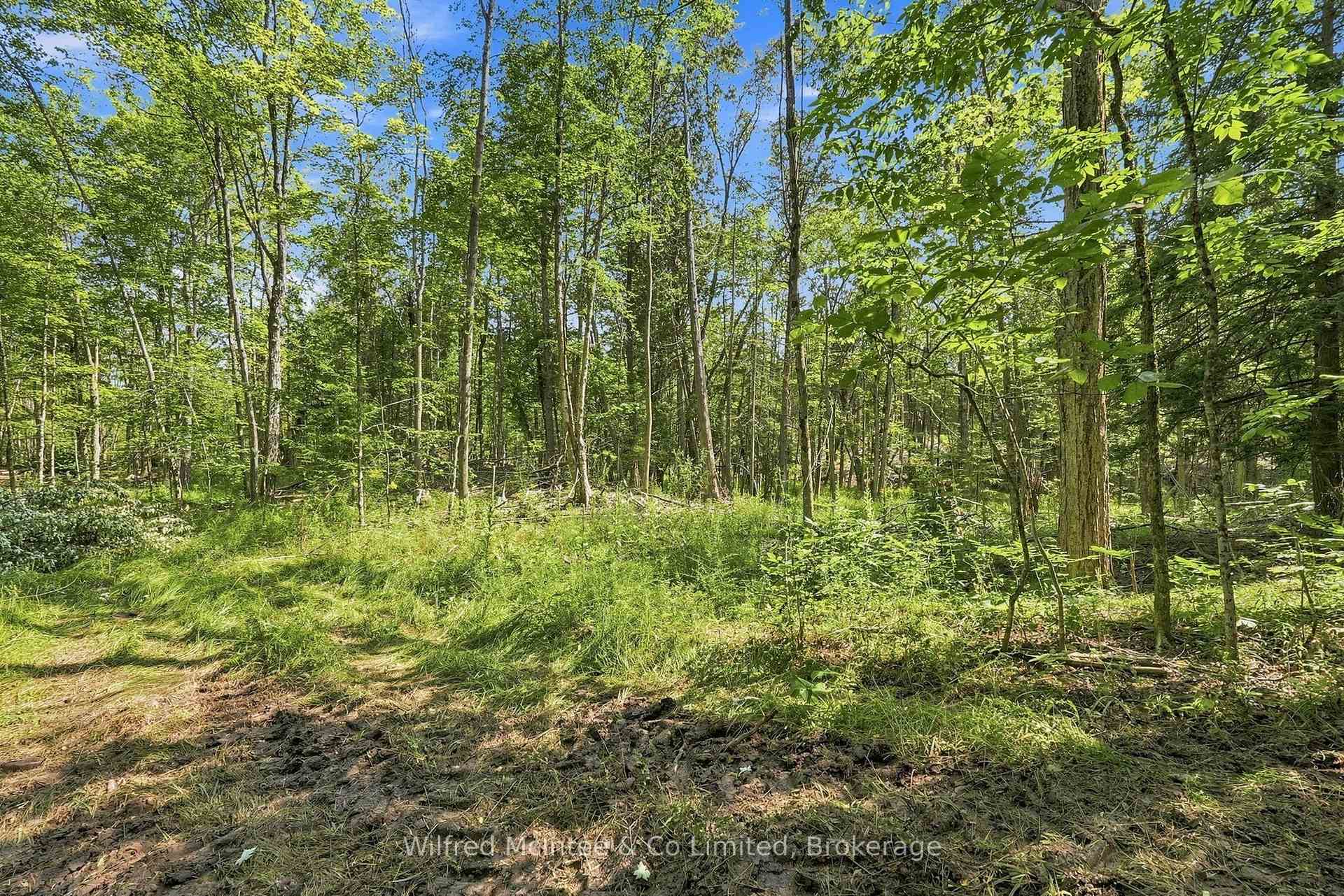 Photo 8 of 381612 Con 4 Ndr Road, West Grey — HOMEH