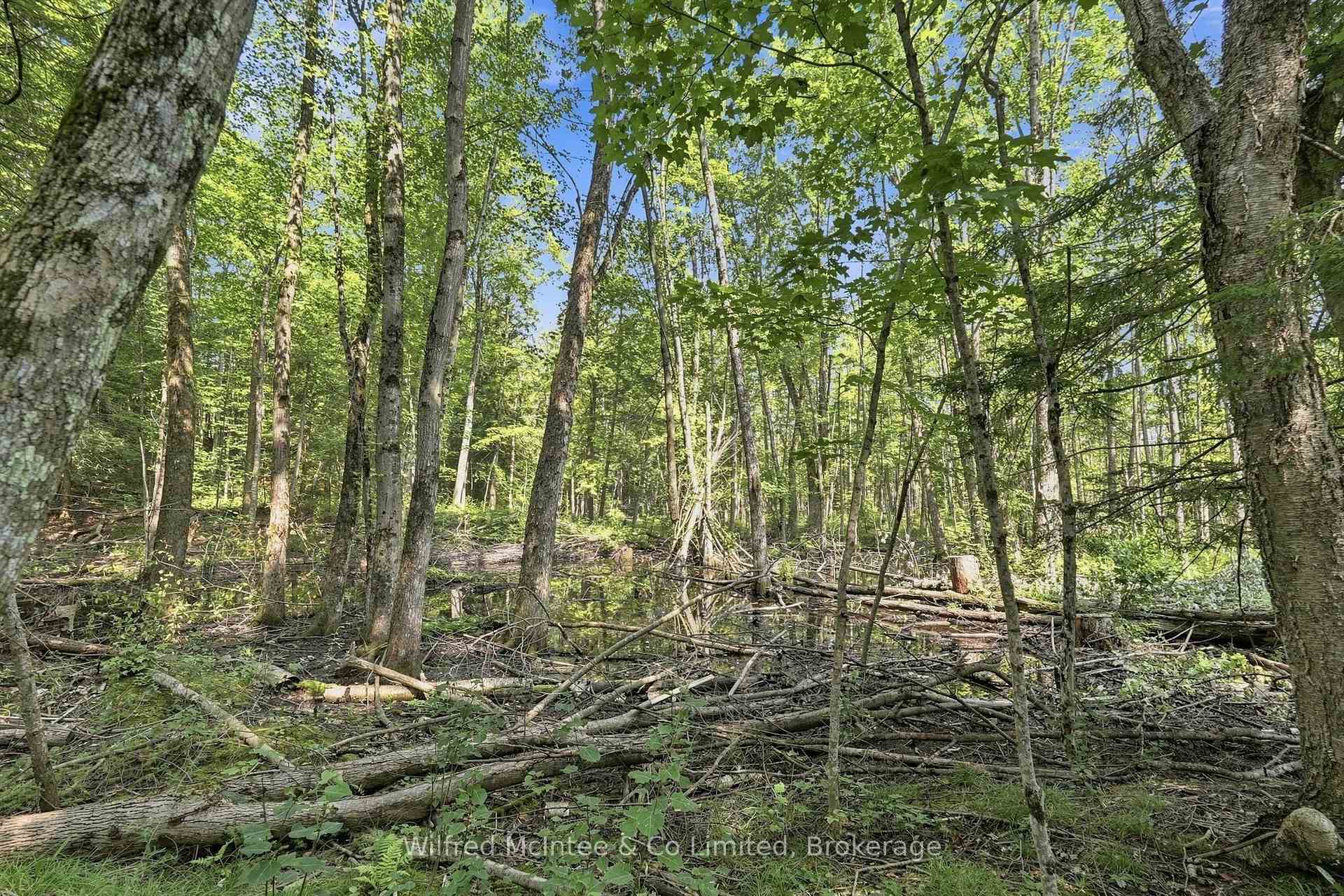 Photo 11 of 381612 Con 4 Ndr Road, West Grey — HOMEH