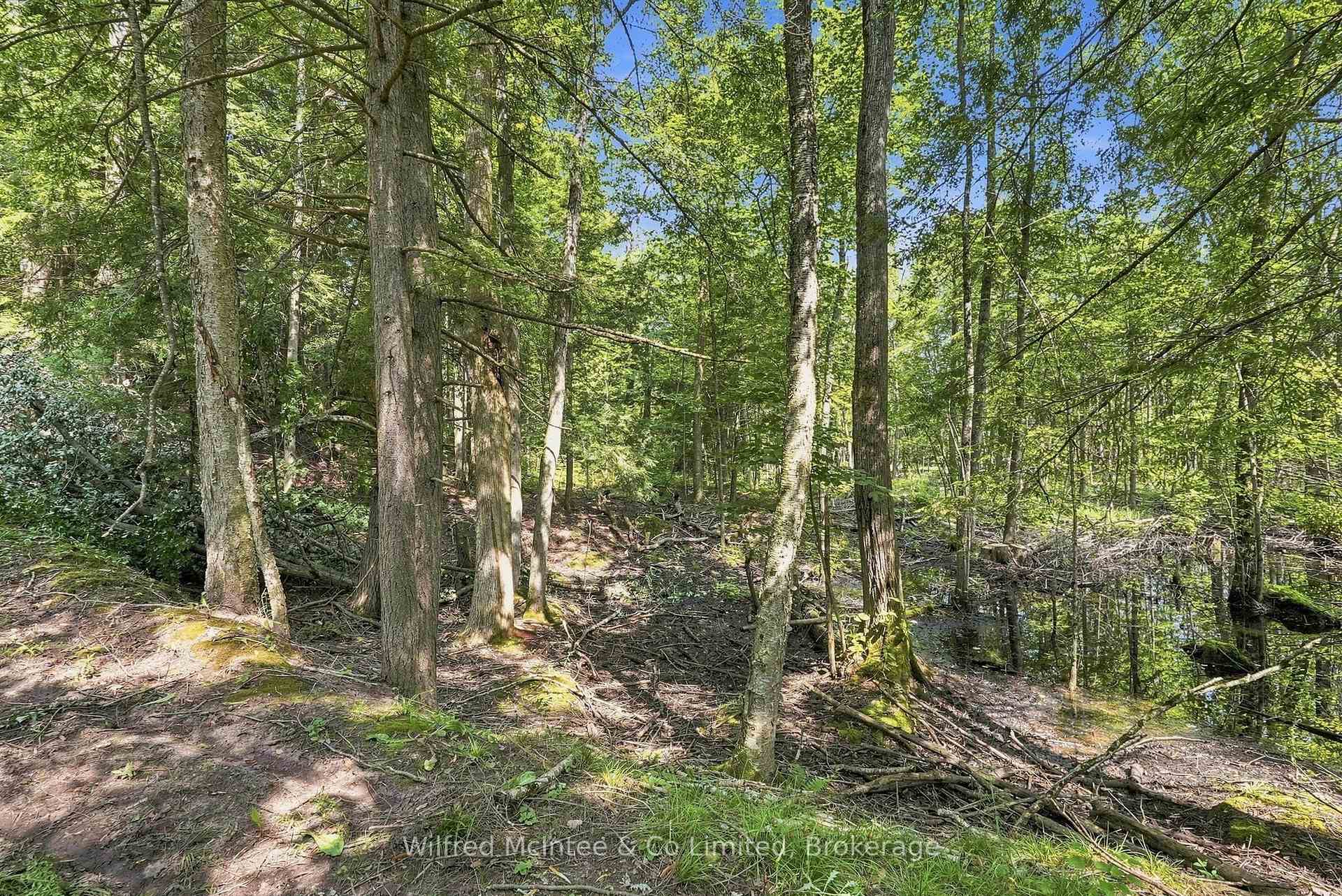 Photo 13 of 381612 Con 4 Ndr Road, West Grey — HOMEH