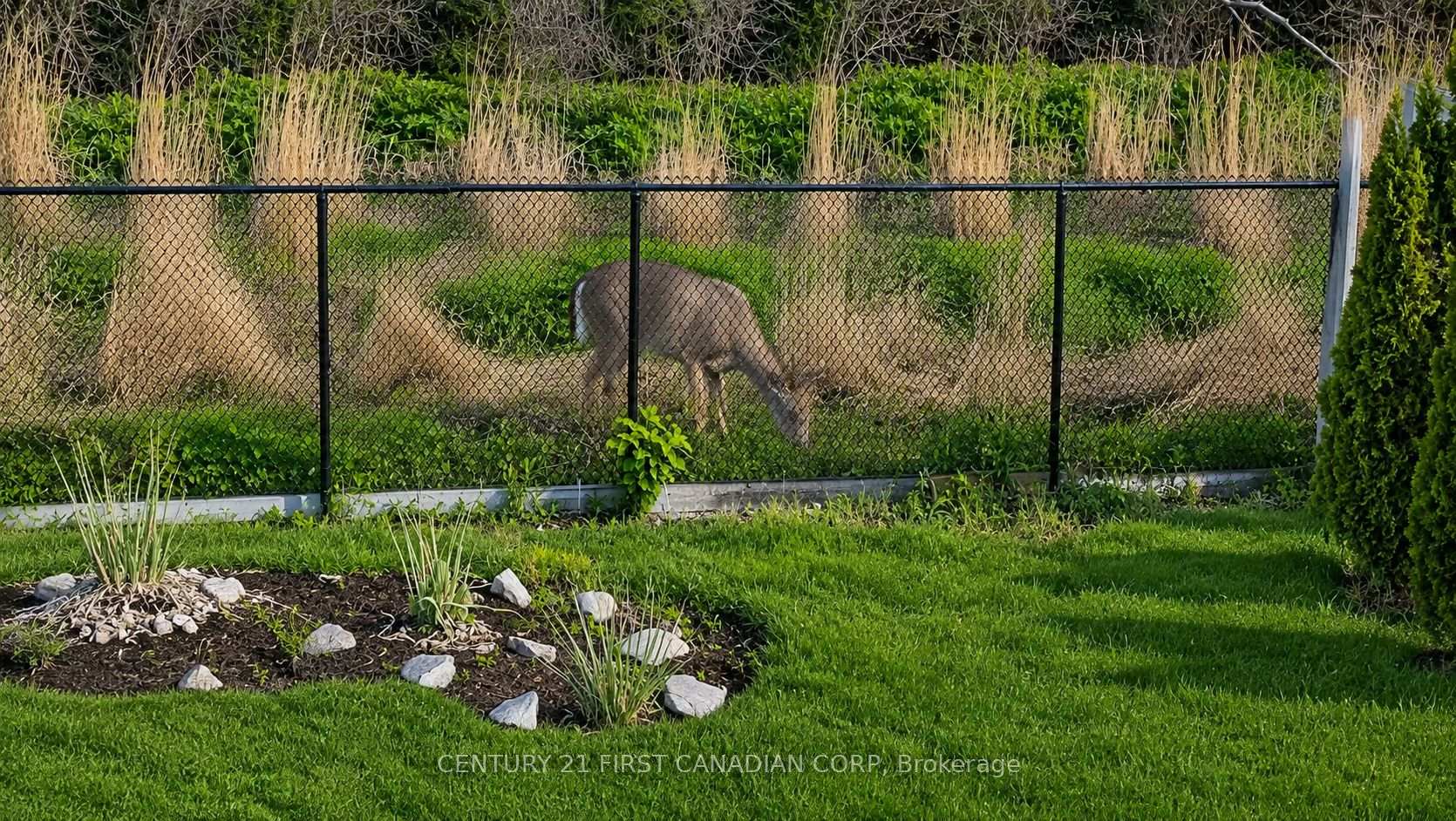 Photo 58 of 10 Birchall Lane, St. Thomas — HOMEH
