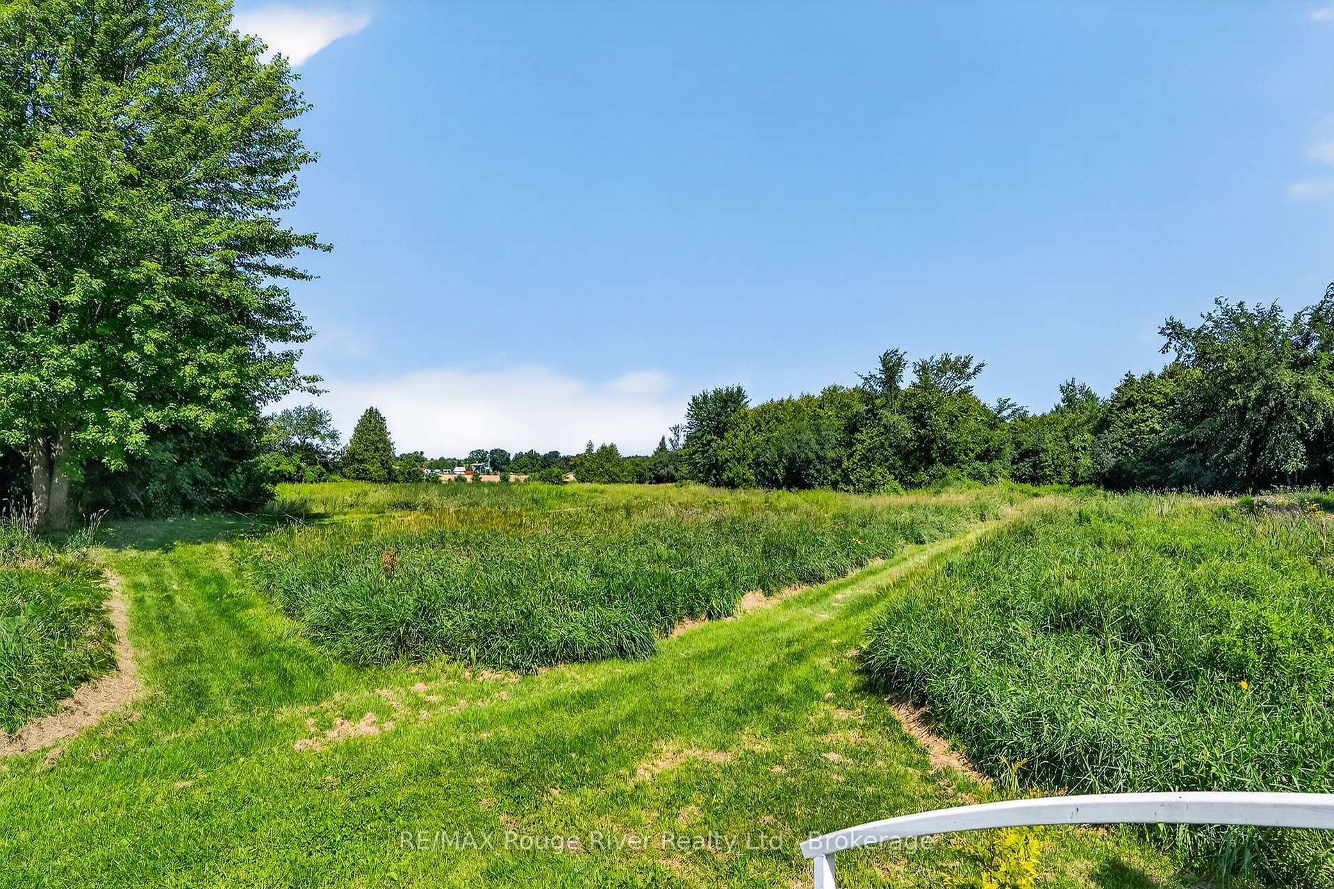 Photo 46 of 638 County Rd 28, Cavan Monaghan, Millbrook Village — HOMEH