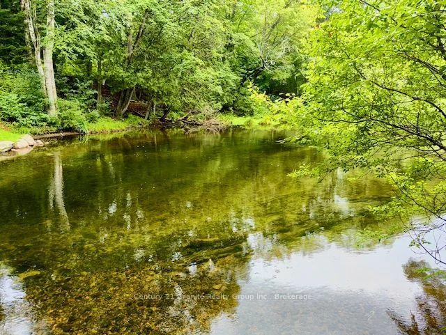 Photo 42 of 1097 Hawk Valley Road, Algonquin Highlands, Stanhope — HOMEH