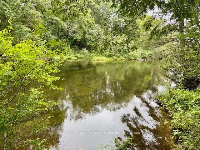 Photo 43 of 1097 Hawk Valley Road, Algonquin Highlands, Stanhope — HOMEH