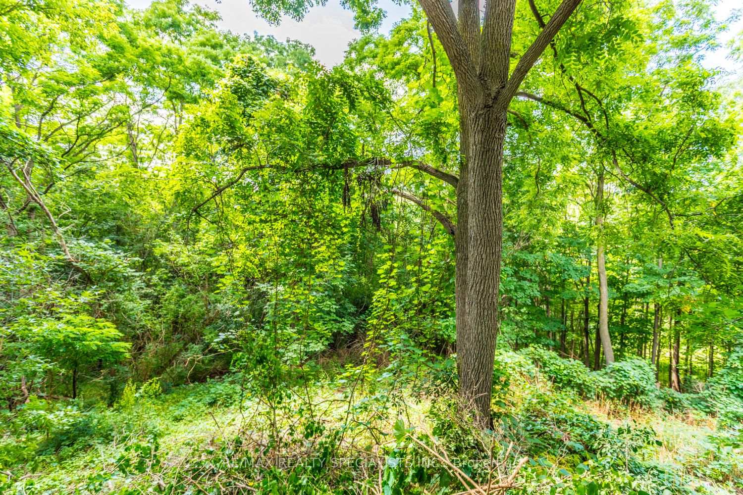 Photo 89 of 22 Heathview Avenue, North York, Bayview Village — HOMEH