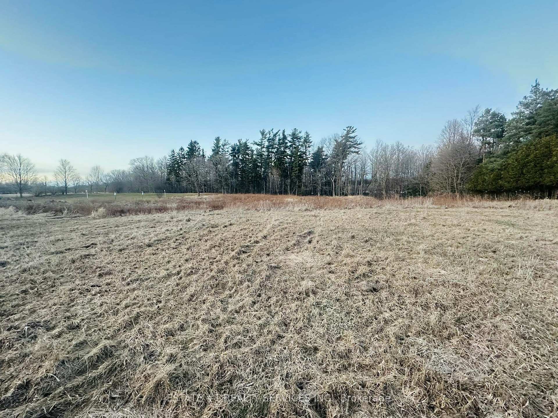 Photo 3 of 10231 Old Pinecrest Road, Brampton, Northwest Brampton — HOMEH