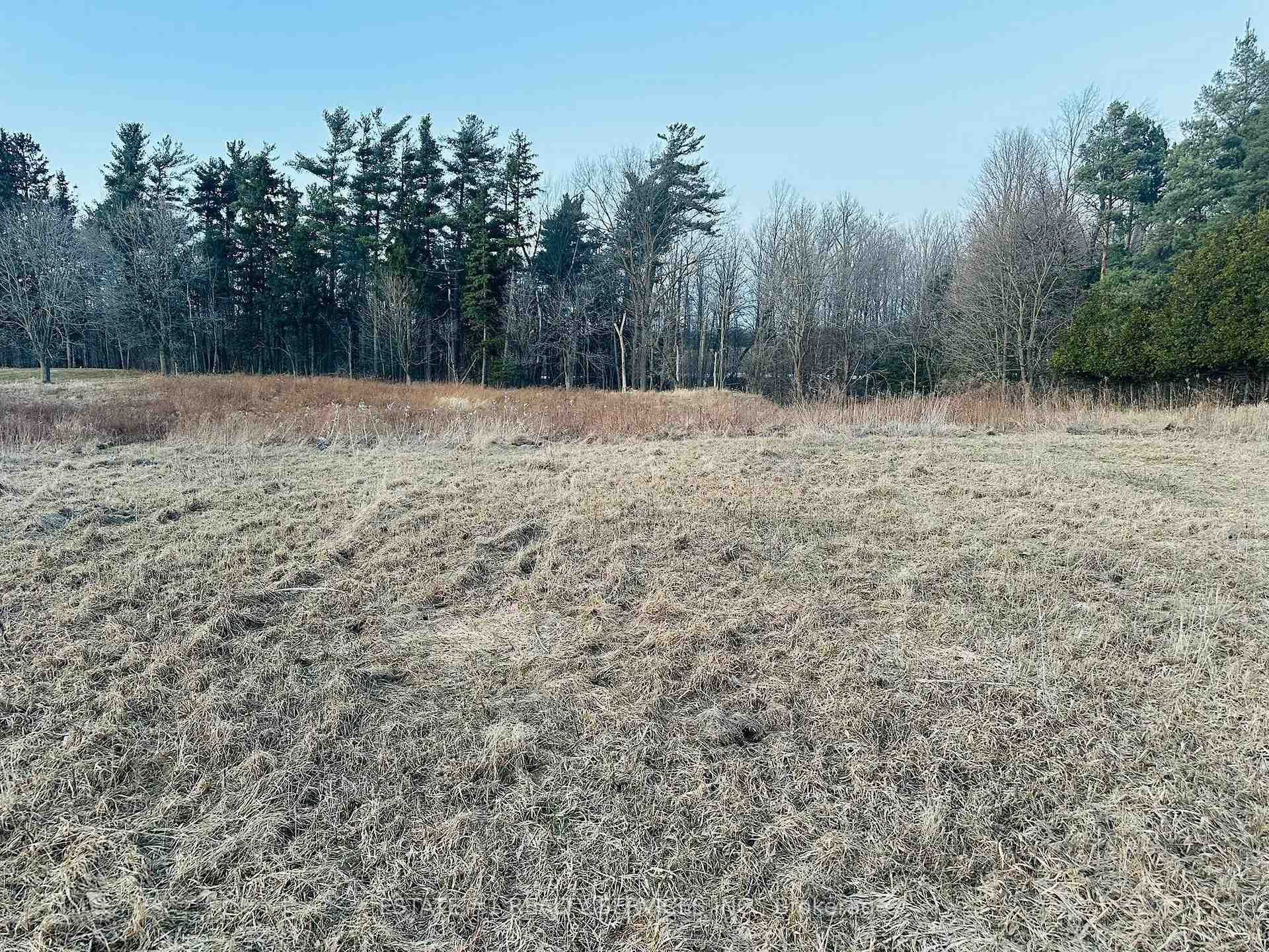 Photo 5 of 10231 Old Pinecrest Road, Brampton, Northwest Brampton — HOMEH