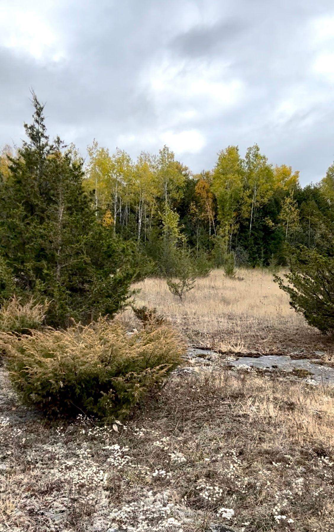 Photo 10 of 2916 Shannon Road, Tyendinaga, Tyendinaga Township — HOMEH