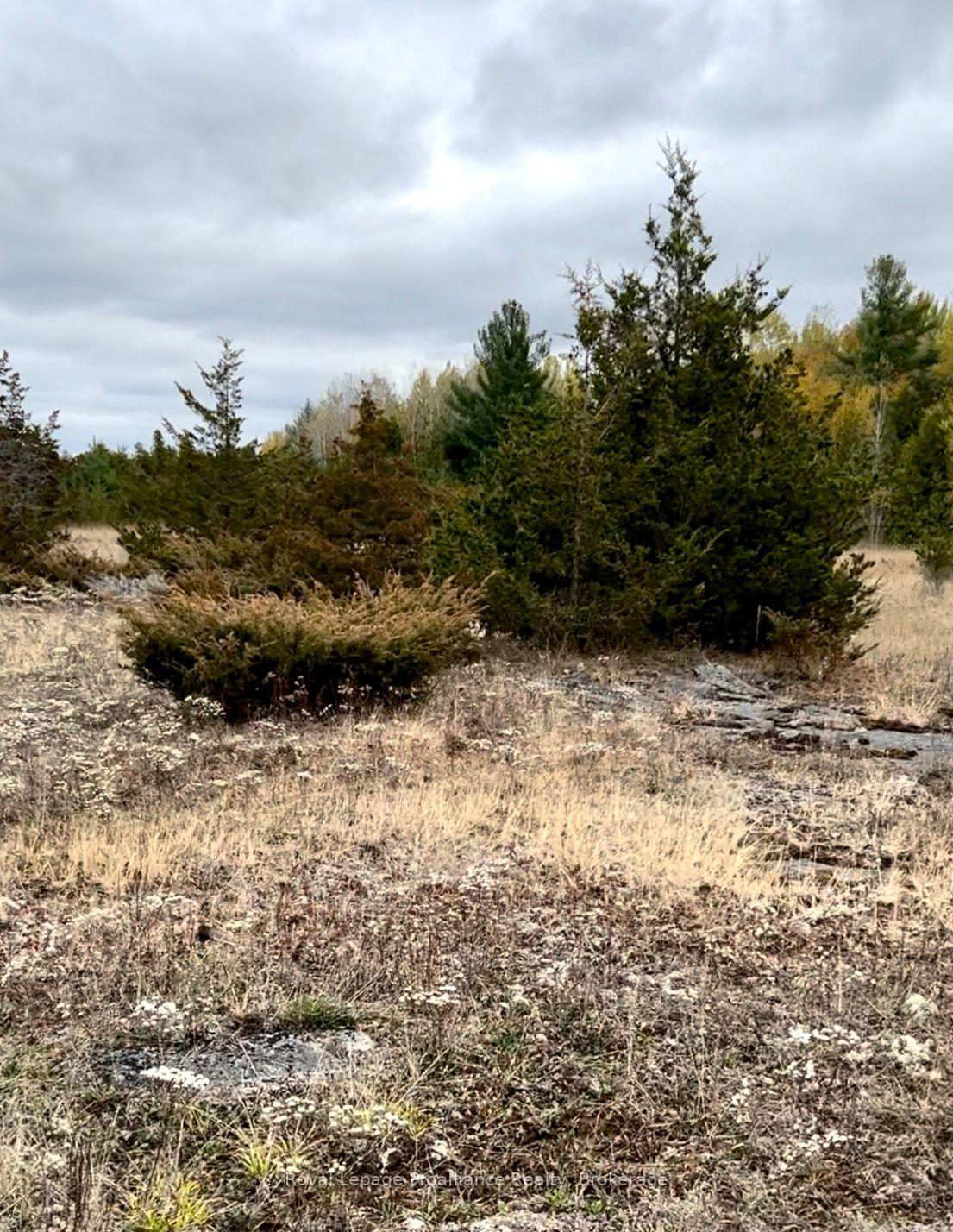Photo 12 of 2916 Shannon Road, Tyendinaga, Tyendinaga Township — HOMEH