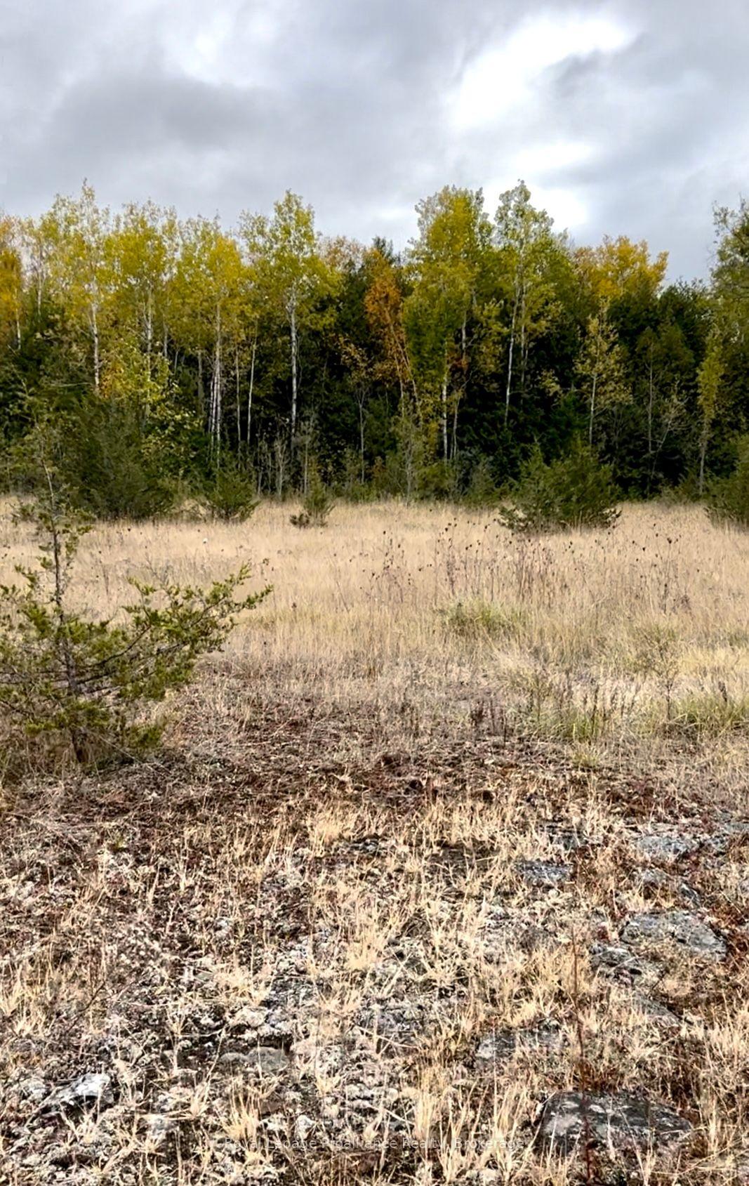 Photo 14 of 2916 Shannon Road, Tyendinaga, Tyendinaga Township — HOMEH