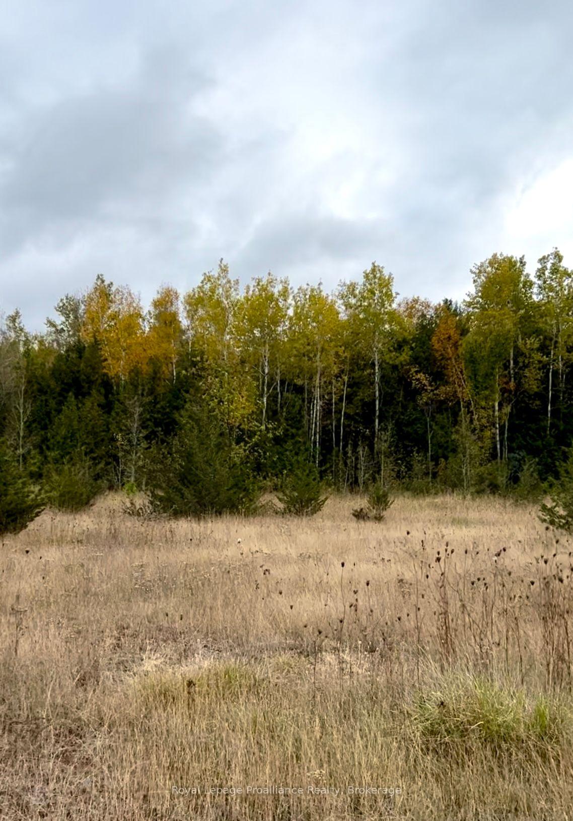 Photo 16 of 2916 Shannon Road, Tyendinaga, Tyendinaga Township — HOMEH