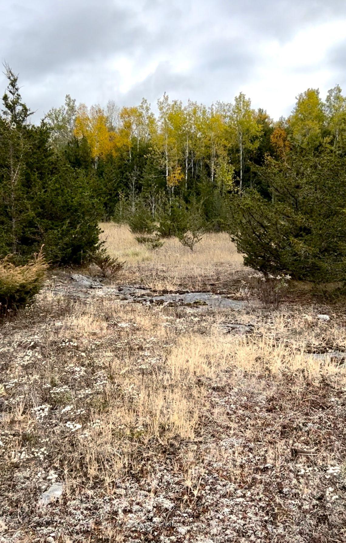 Photo 20 of 2916 Shannon Road, Tyendinaga, Tyendinaga Township — HOMEH