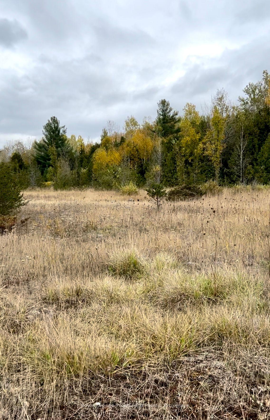 Photo 22 of 2916 Shannon Road, Tyendinaga, Tyendinaga Township — HOMEH
