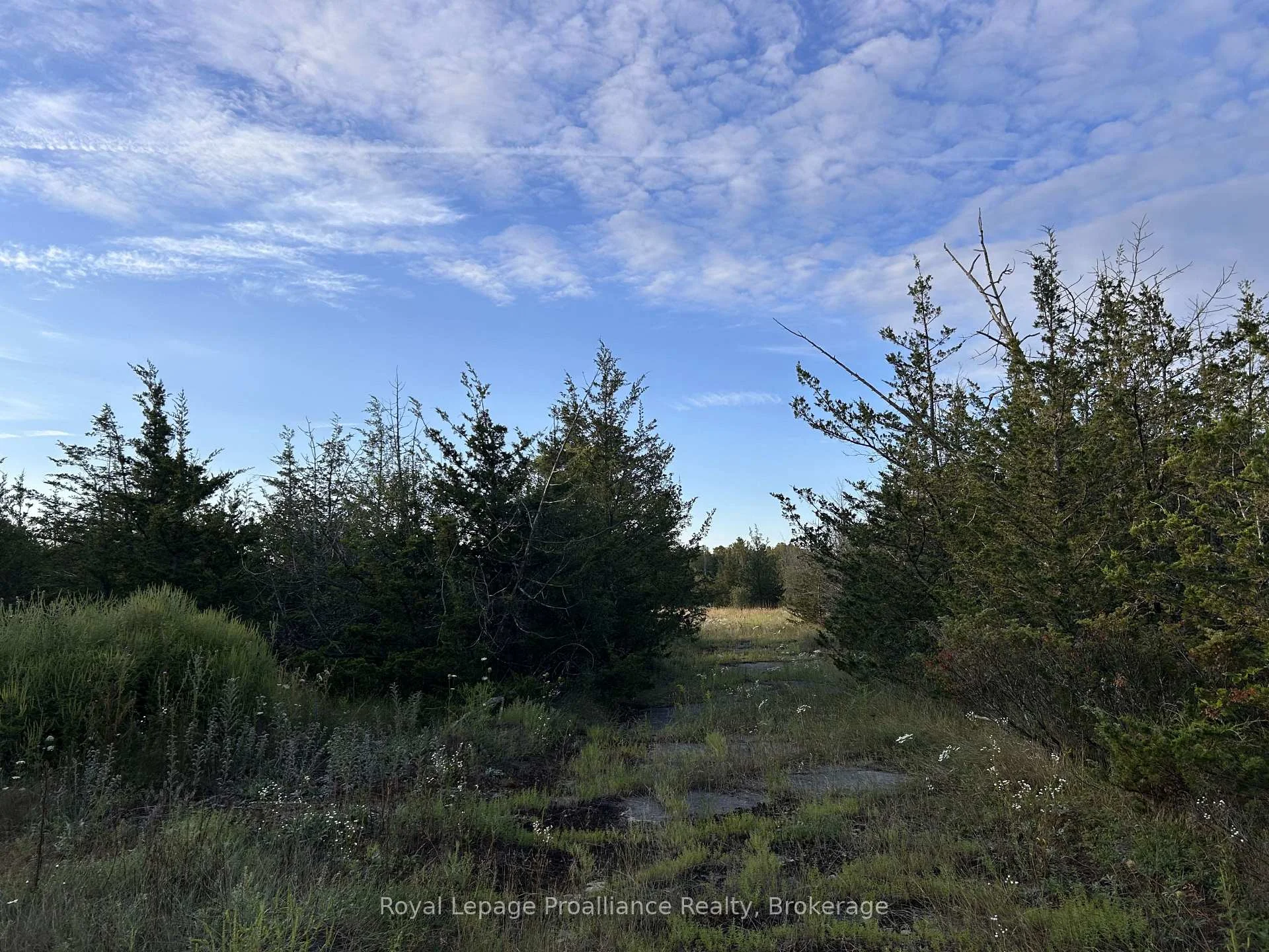 Photo 5 of 2916 Shannon Road, Tyendinaga, Tyendinaga Township — HOMEH