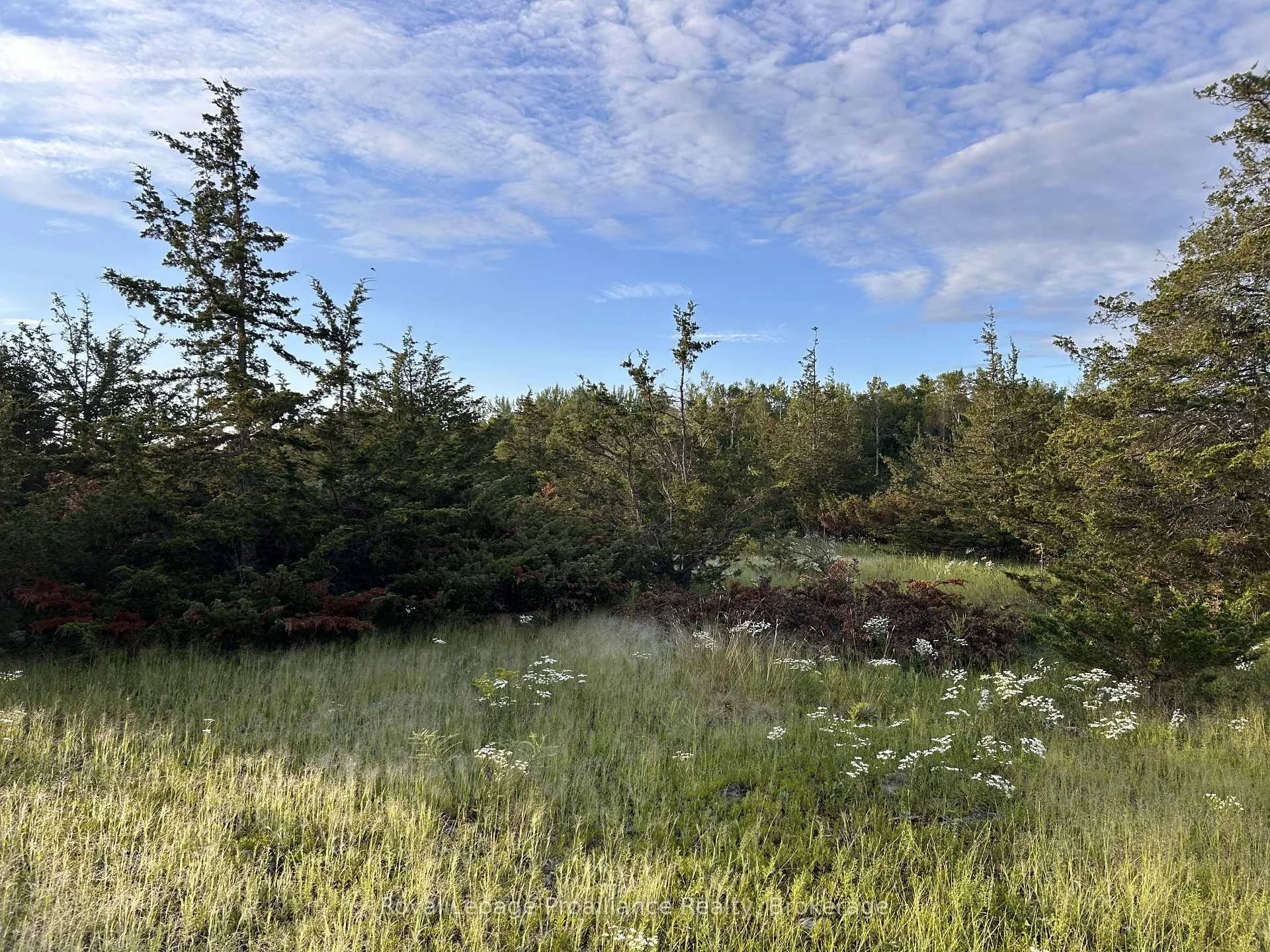 Photo 15 of 2916 Shannon Road, Tyendinaga, Tyendinaga Township — HOMEH