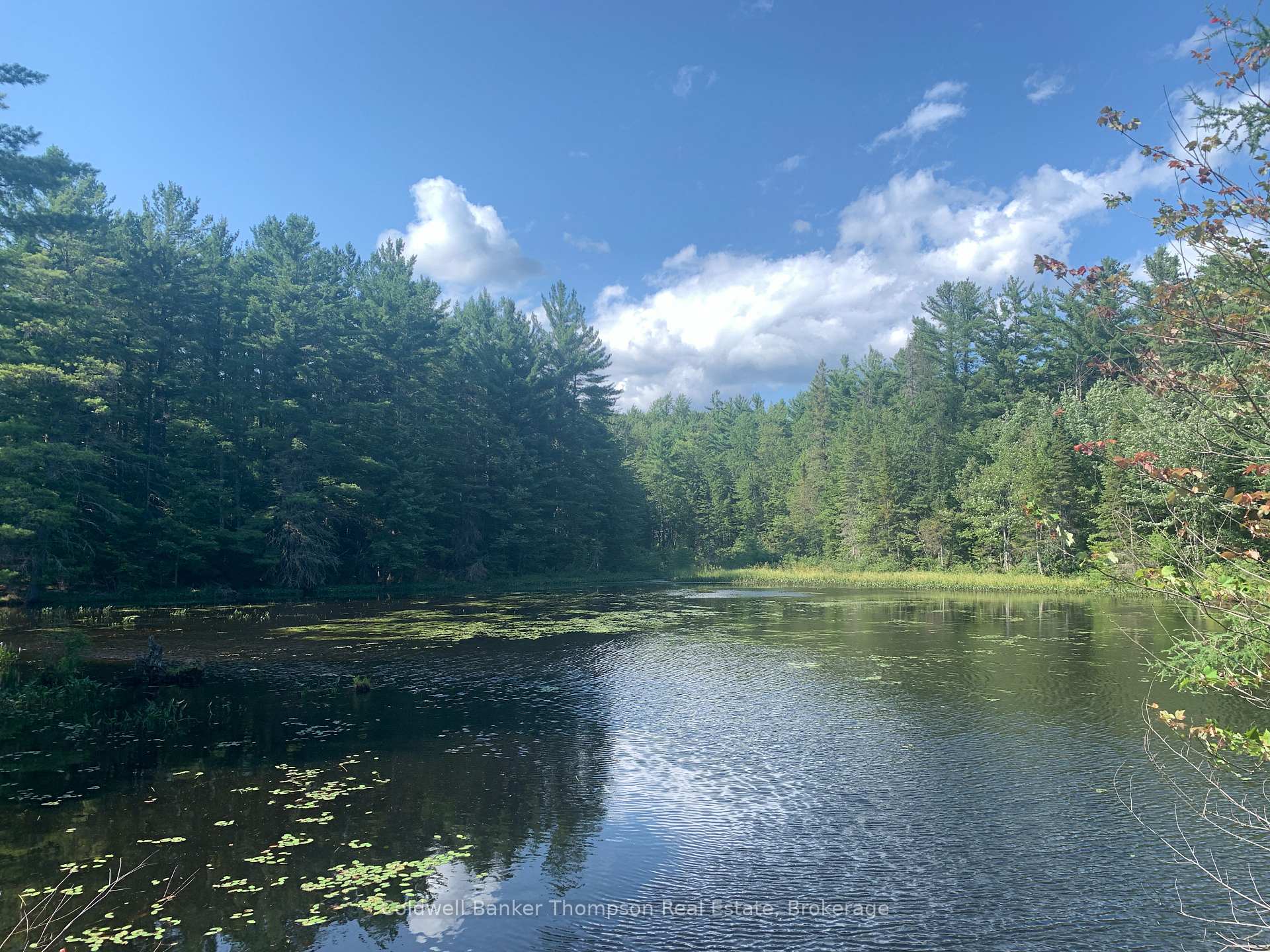 Photo 2 of LT17&18 CON8 & LT18 CON 9 Carlsmount Road, Bracebridge, Draper — HOMEH