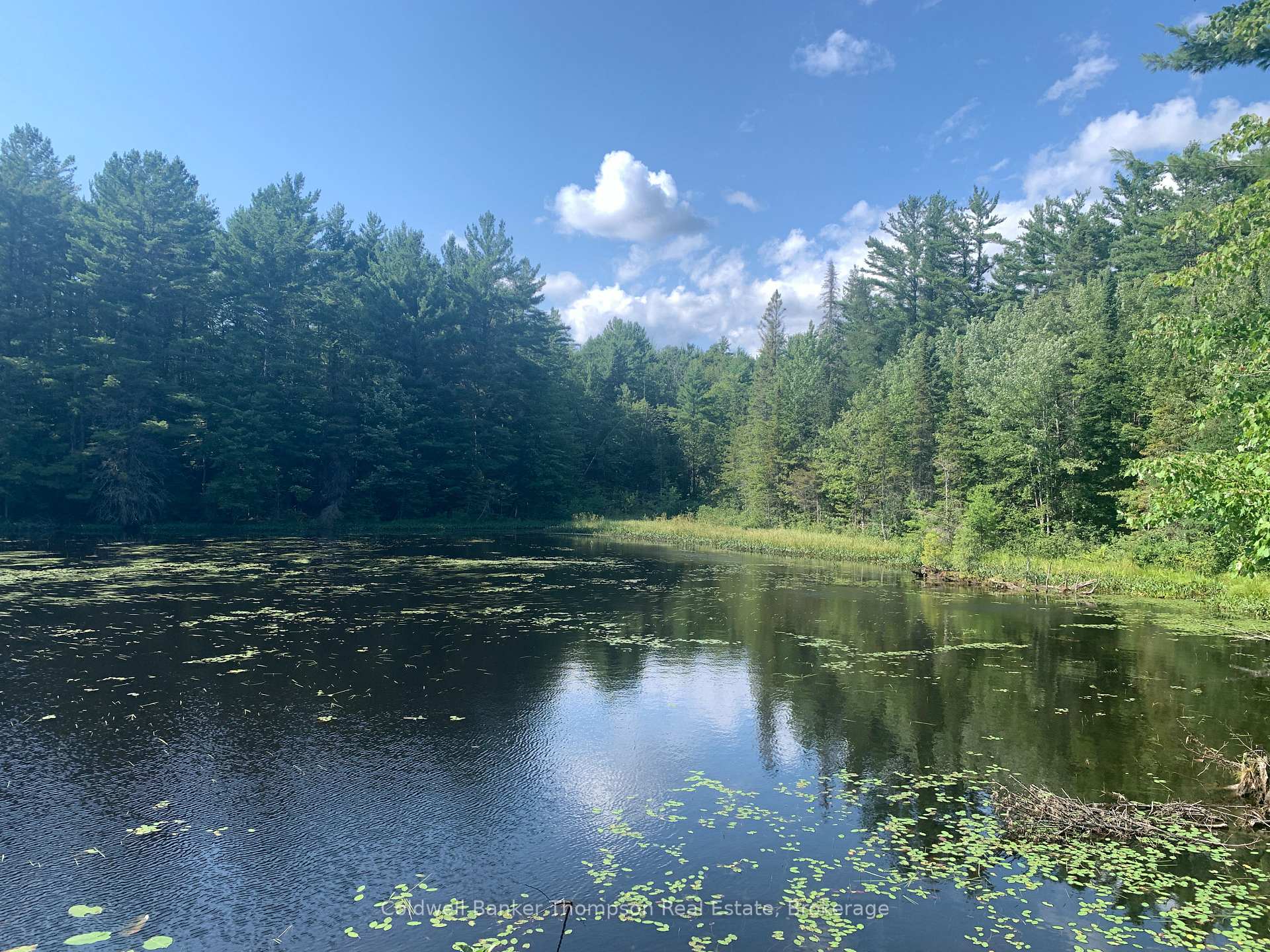 Photo 3 of LT17&18 CON8 & LT18 CON 9 Carlsmount Road, Bracebridge, Draper — HOMEH