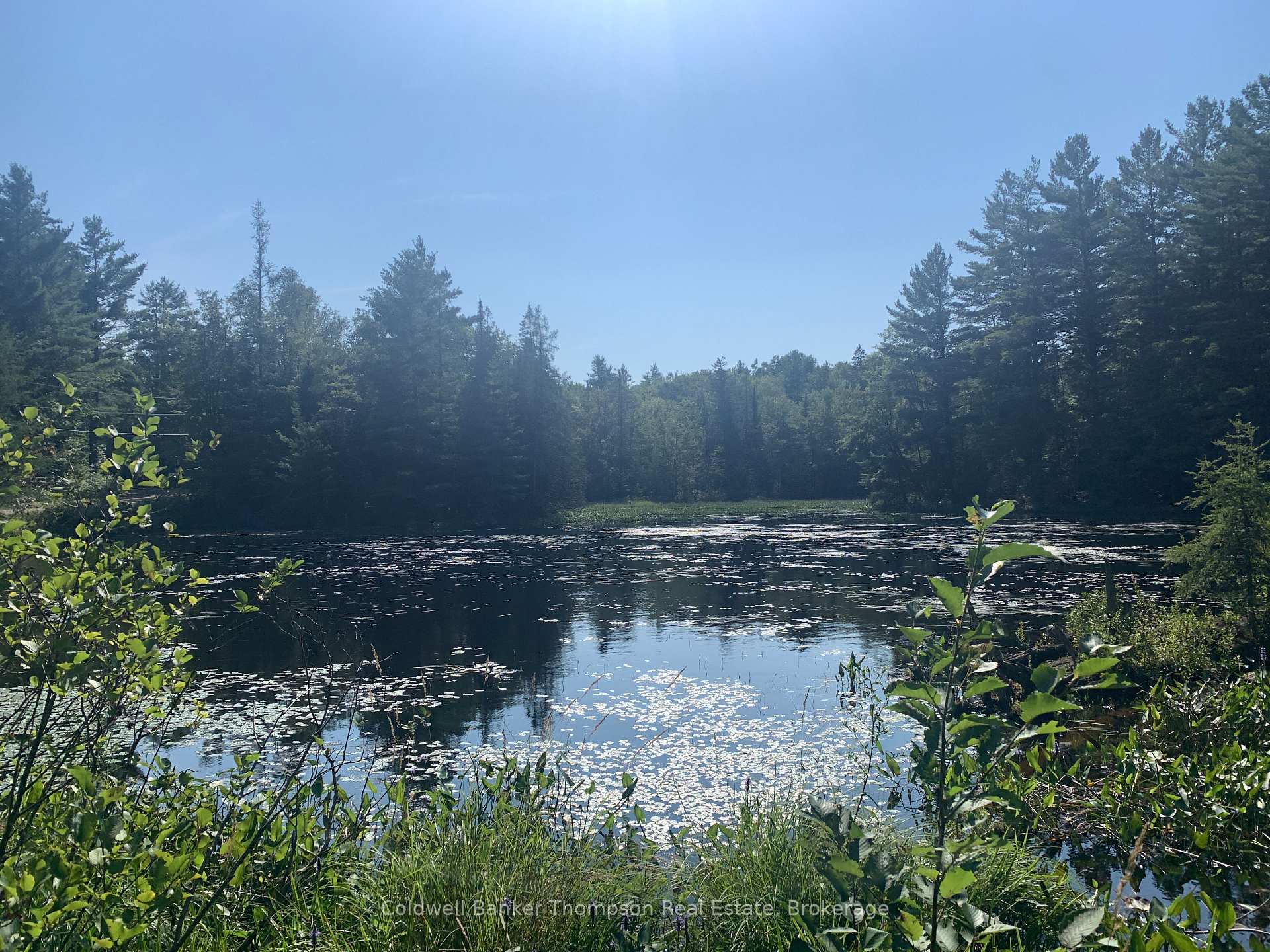 Photo 4 of LT17&18 CON8 & LT18 CON 9 Carlsmount Road, Bracebridge, Draper — HOMEH