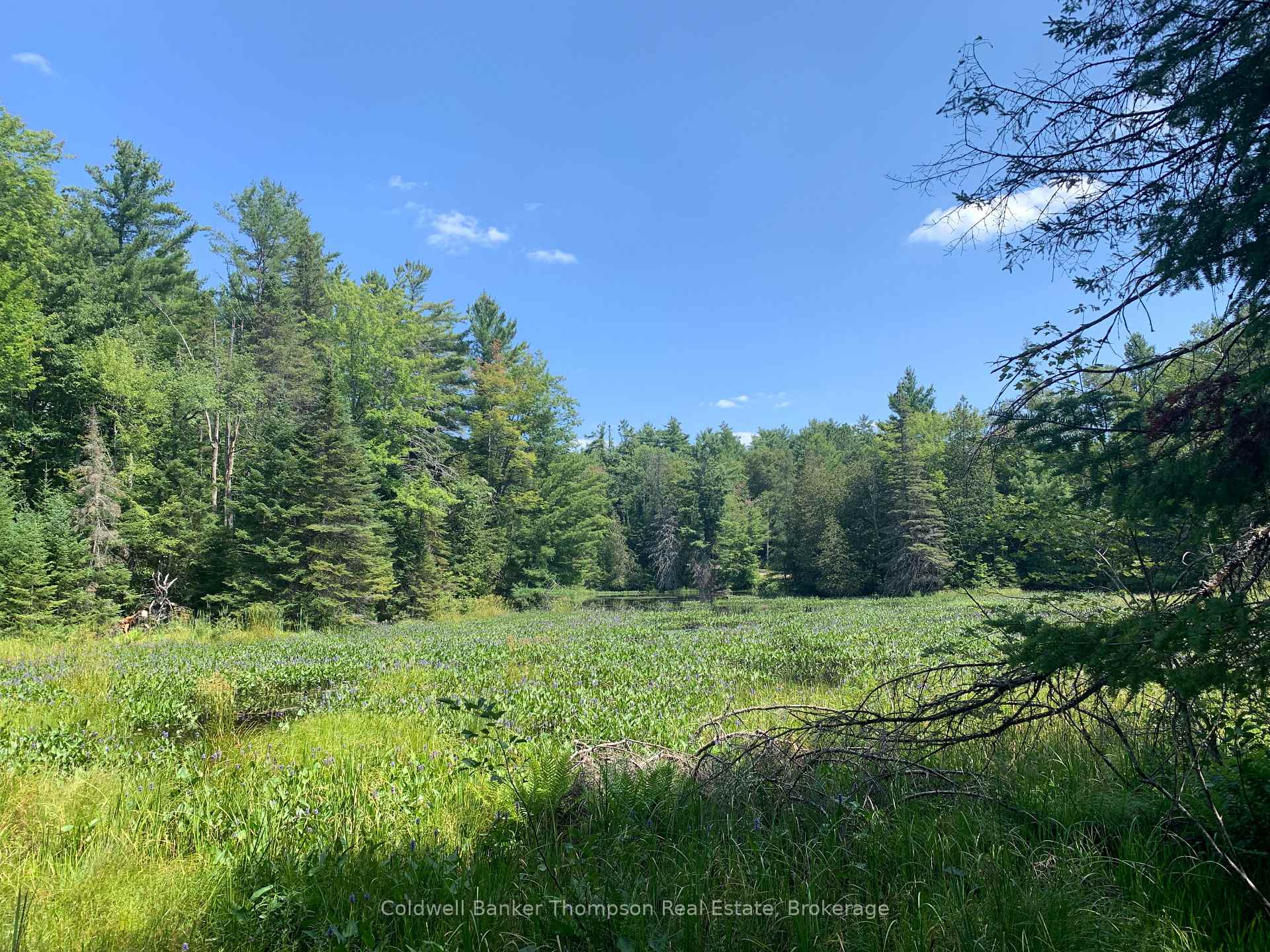 Photo 5 of LT17&18 CON8 & LT18 CON 9 Carlsmount Road, Bracebridge, Draper — HOMEH