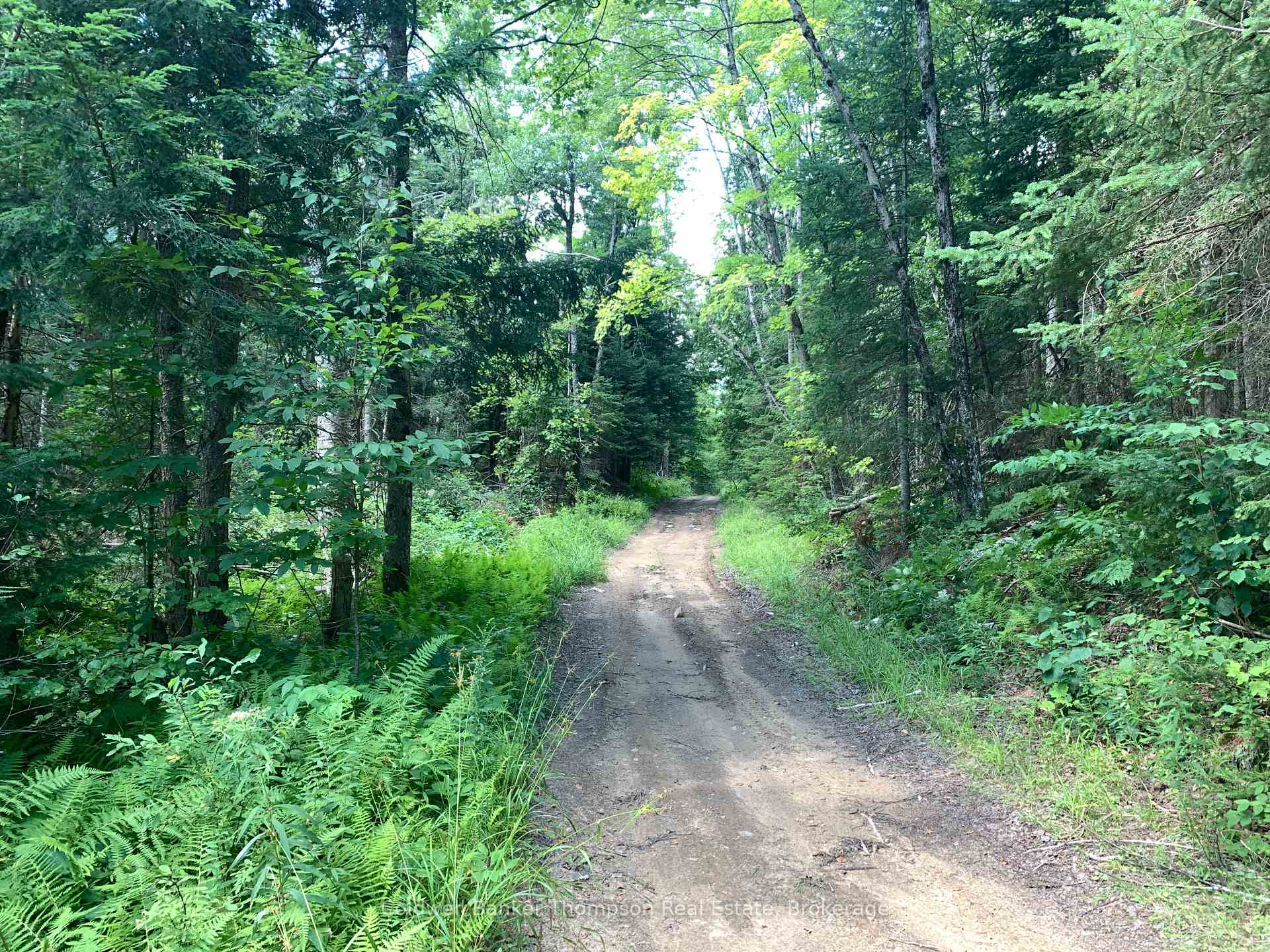 Photo 6 of LT17&18 CON8 & LT18 CON 9 Carlsmount Road, Bracebridge, Draper — HOMEH