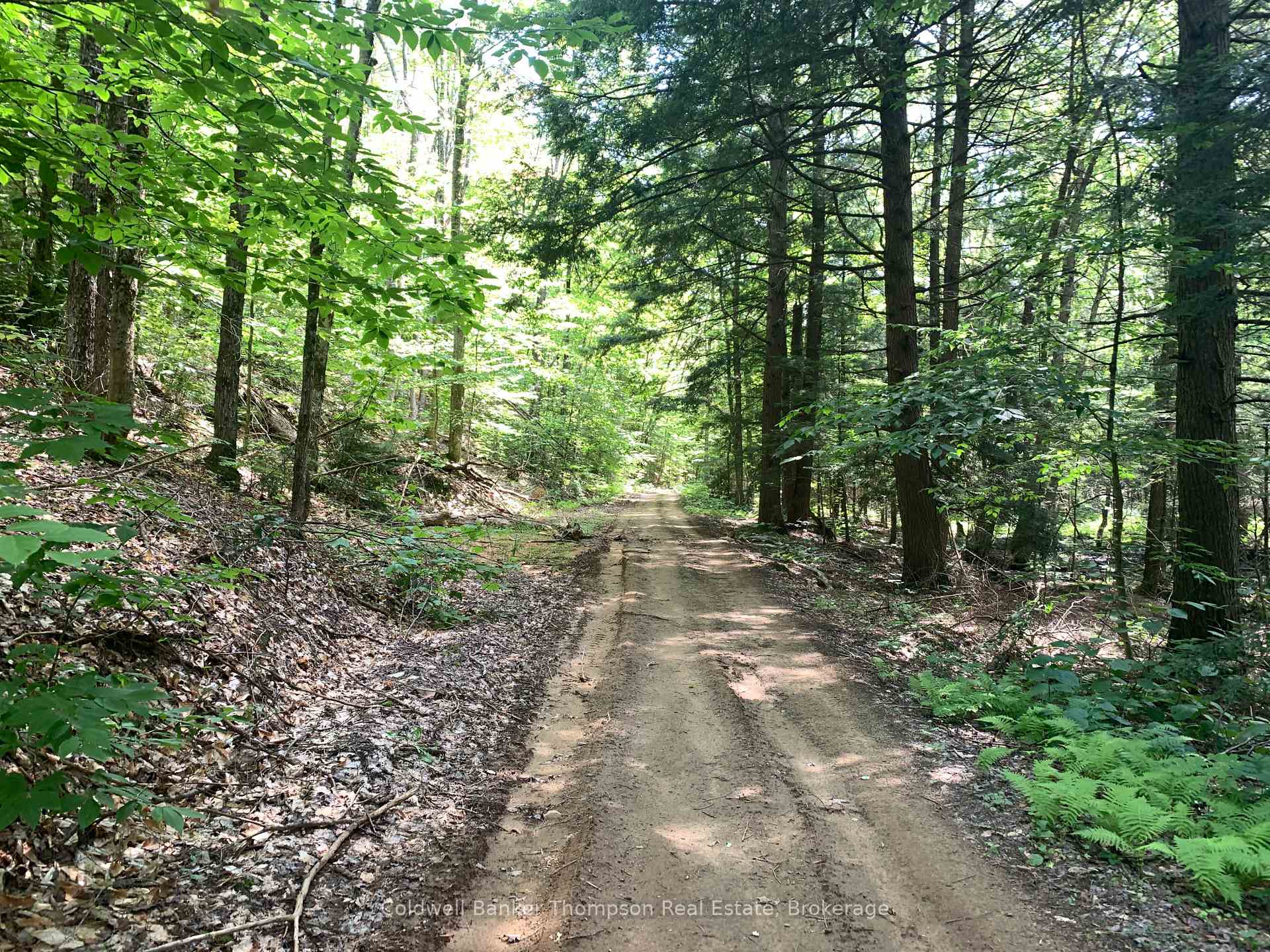 Photo 7 of LT17&18 CON8 & LT18 CON 9 Carlsmount Road, Bracebridge, Draper — HOMEH