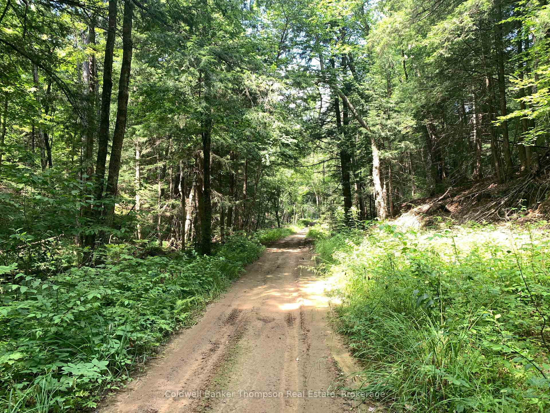 Photo 8 of LT17&18 CON8 & LT18 CON 9 Carlsmount Road, Bracebridge, Draper — HOMEH
