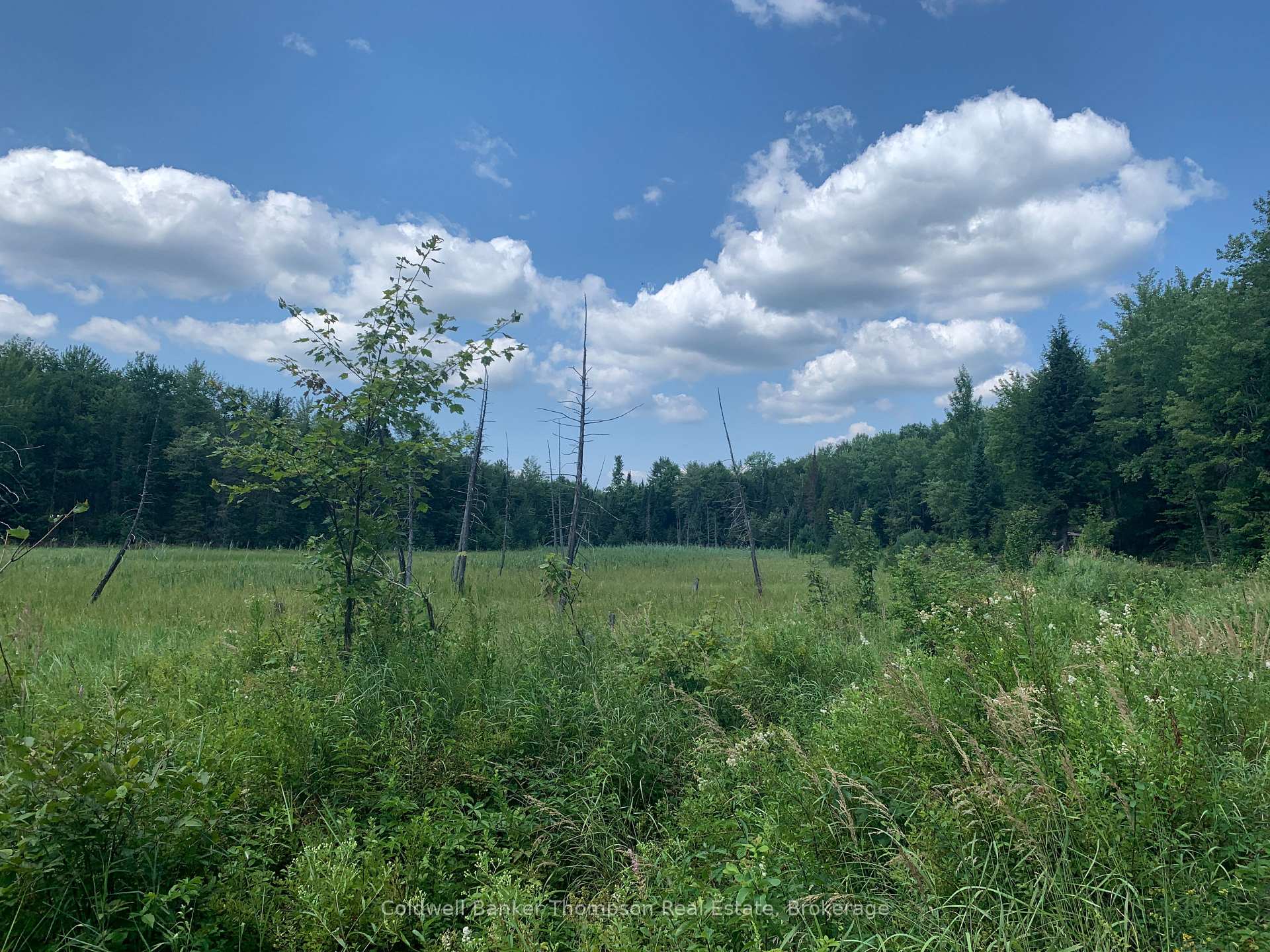Photo 10 of LT17&18 CON8 & LT18 CON 9 Carlsmount Road, Bracebridge, Draper — HOMEH