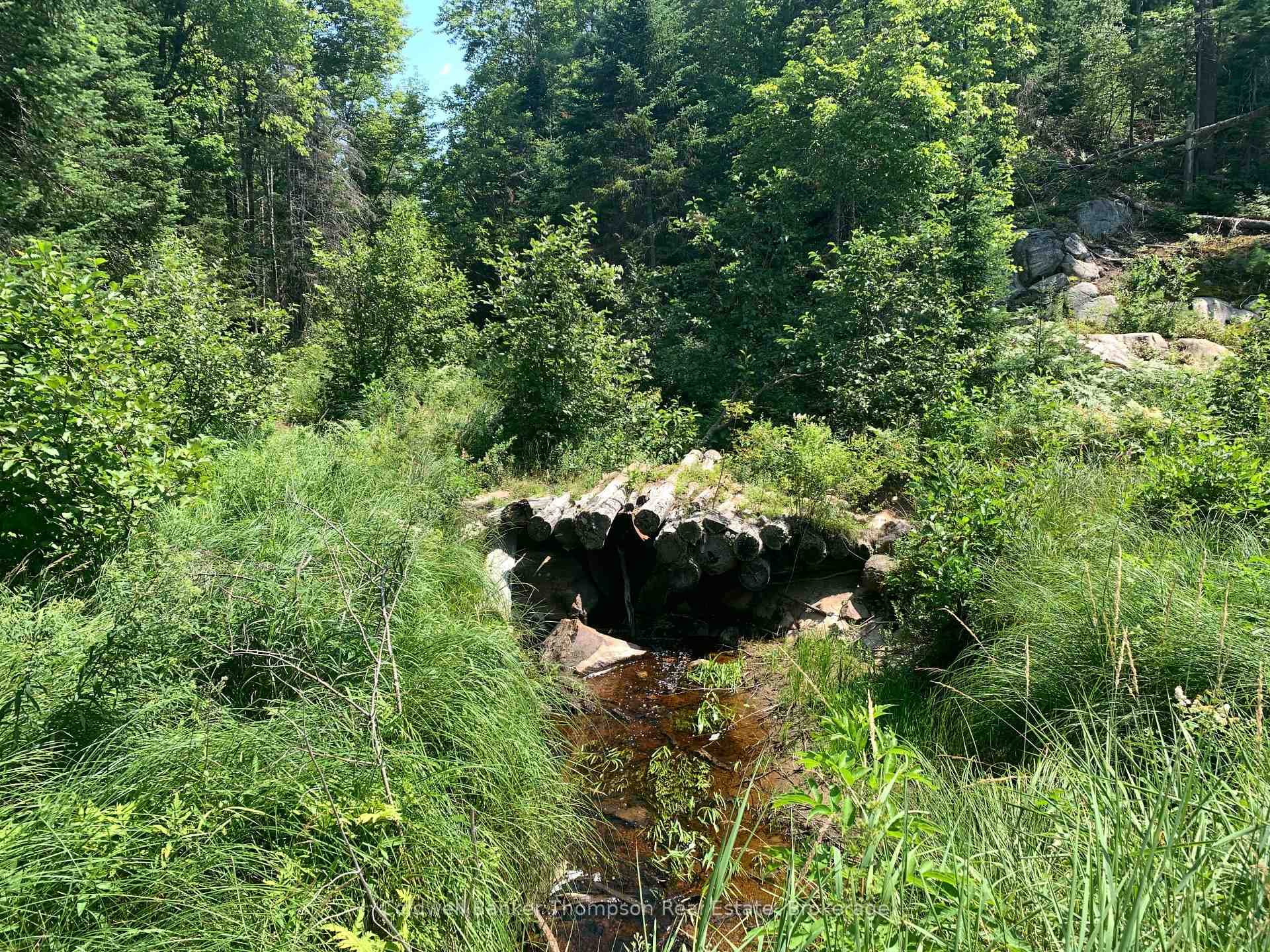 Photo 12 of LT17&18 CON8 & LT18 CON 9 Carlsmount Road, Bracebridge, Draper — HOMEH