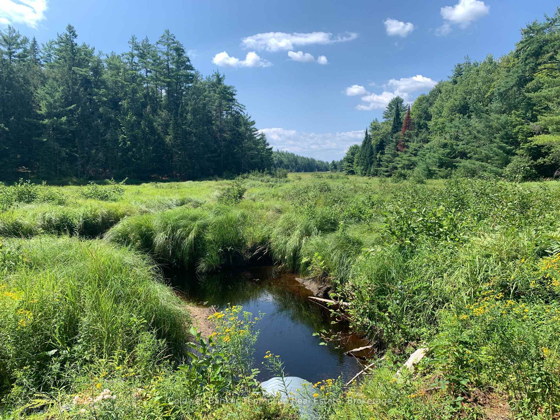 Photo 13 of LT17&18 CON8 & LT18 CON 9 Carlsmount Road, Bracebridge, Draper — HOMEH