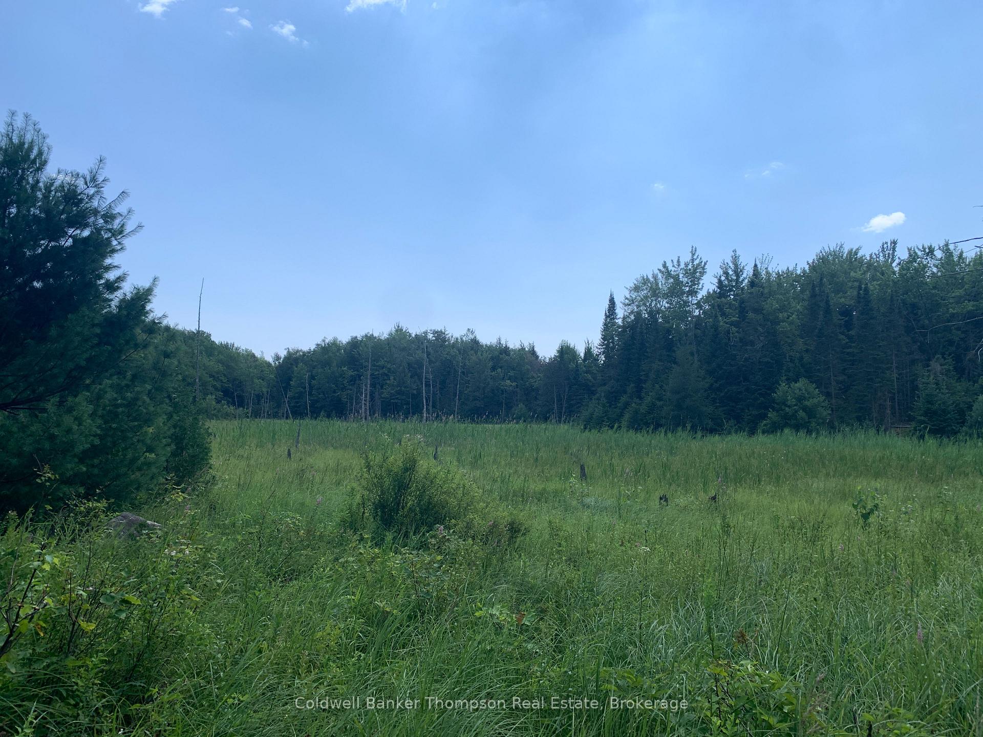 Photo 14 of LT17&18 CON8 & LT18 CON 9 Carlsmount Road, Bracebridge, Draper — HOMEH
