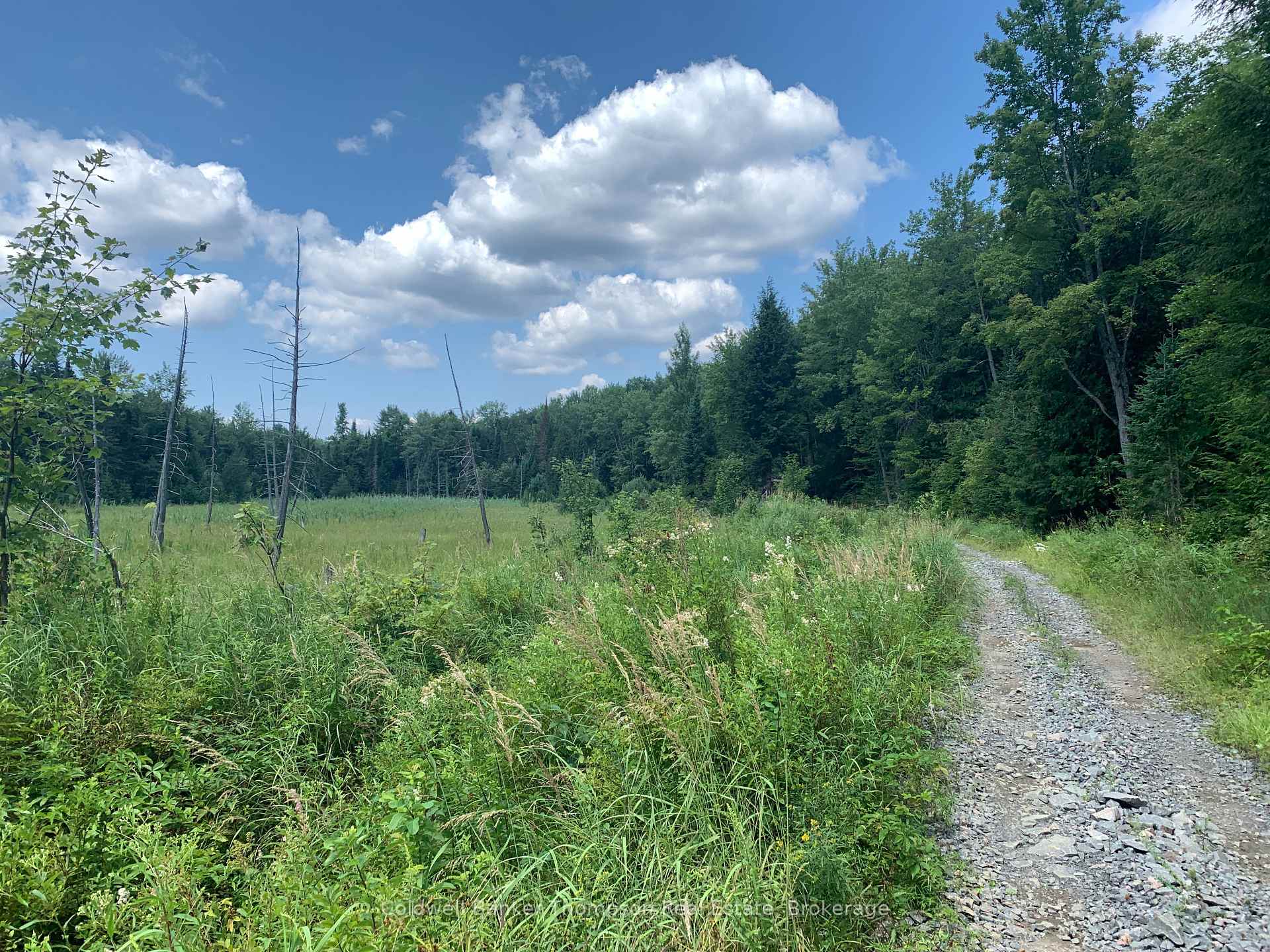 Photo 16 of LT17&18 CON8 & LT18 CON 9 Carlsmount Road, Bracebridge, Draper — HOMEH