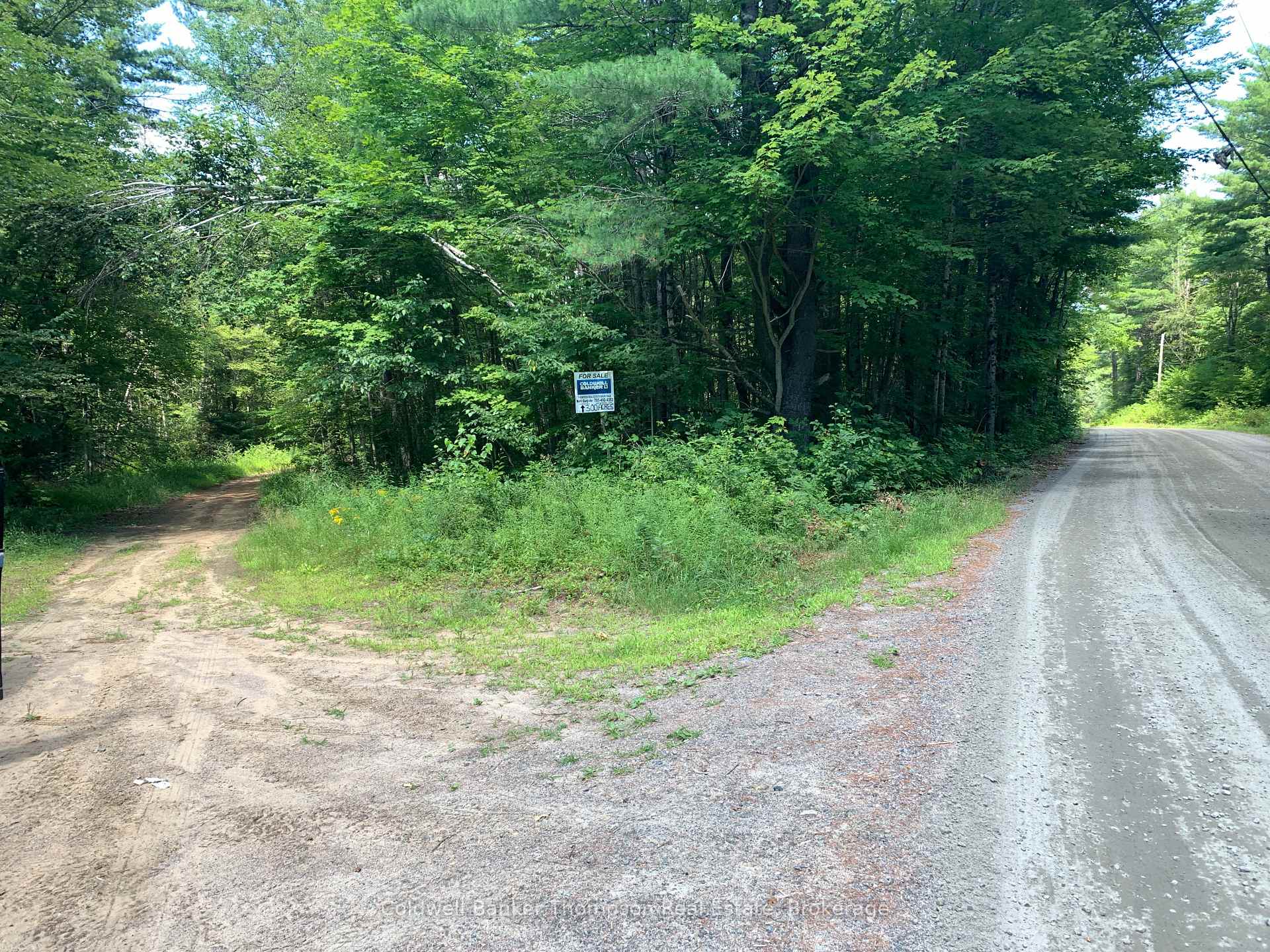 Photo 17 of LT17&18 CON8 & LT18 CON 9 Carlsmount Road, Bracebridge, Draper — HOMEH