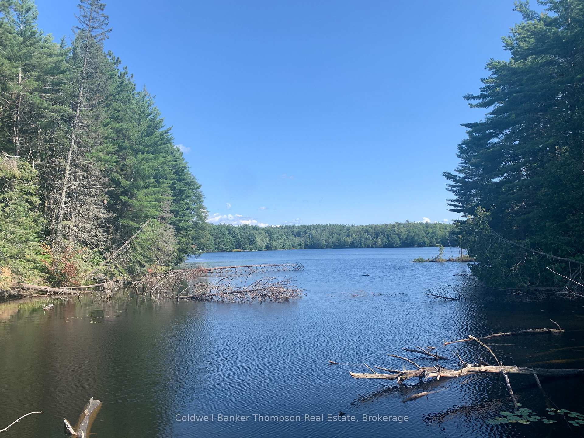 Photo 23 of LT17&18 CON8 & LT18 CON 9 Carlsmount Road, Bracebridge, Draper — HOMEH